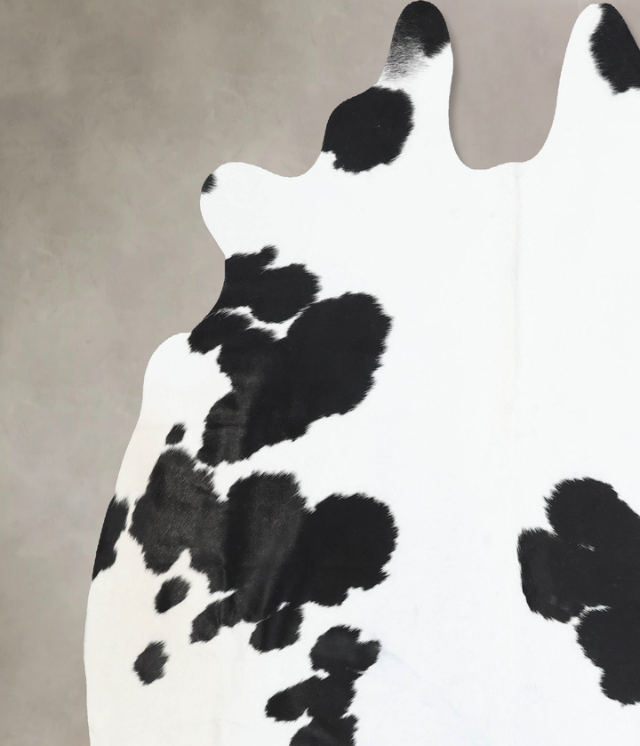 Black and White X-Large Brazilian Cowhide Rug 7'1"H x 6'11"W #B12832 by Hudson Hides