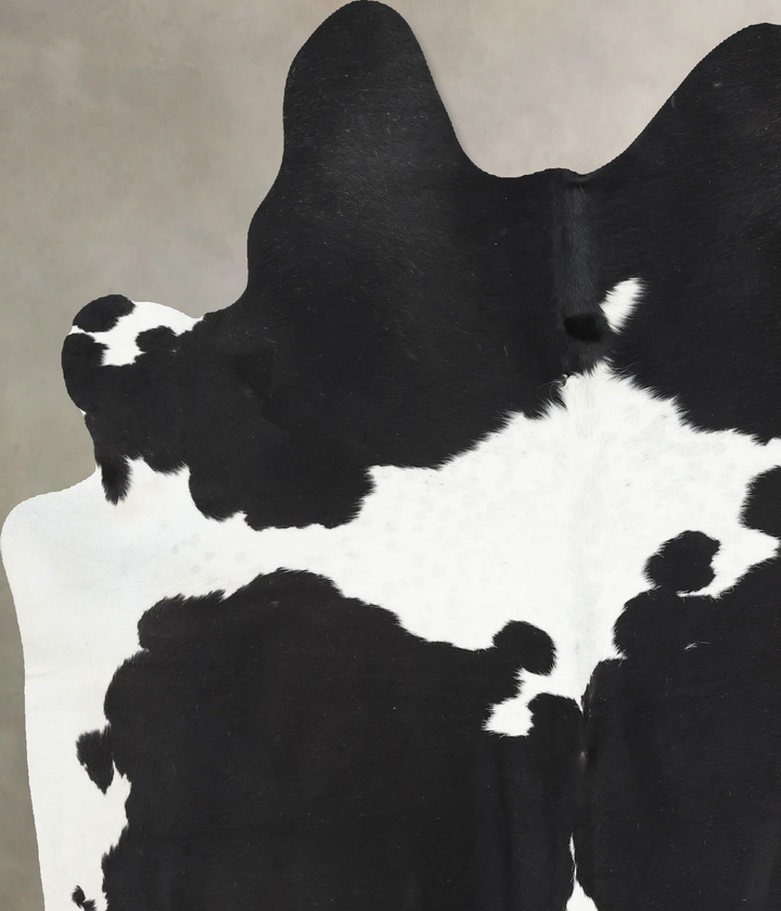 Black and White X-Large Brazilian Cowhide Rug 7'1"H x 6'0"W #B12835 by Hudson Hides