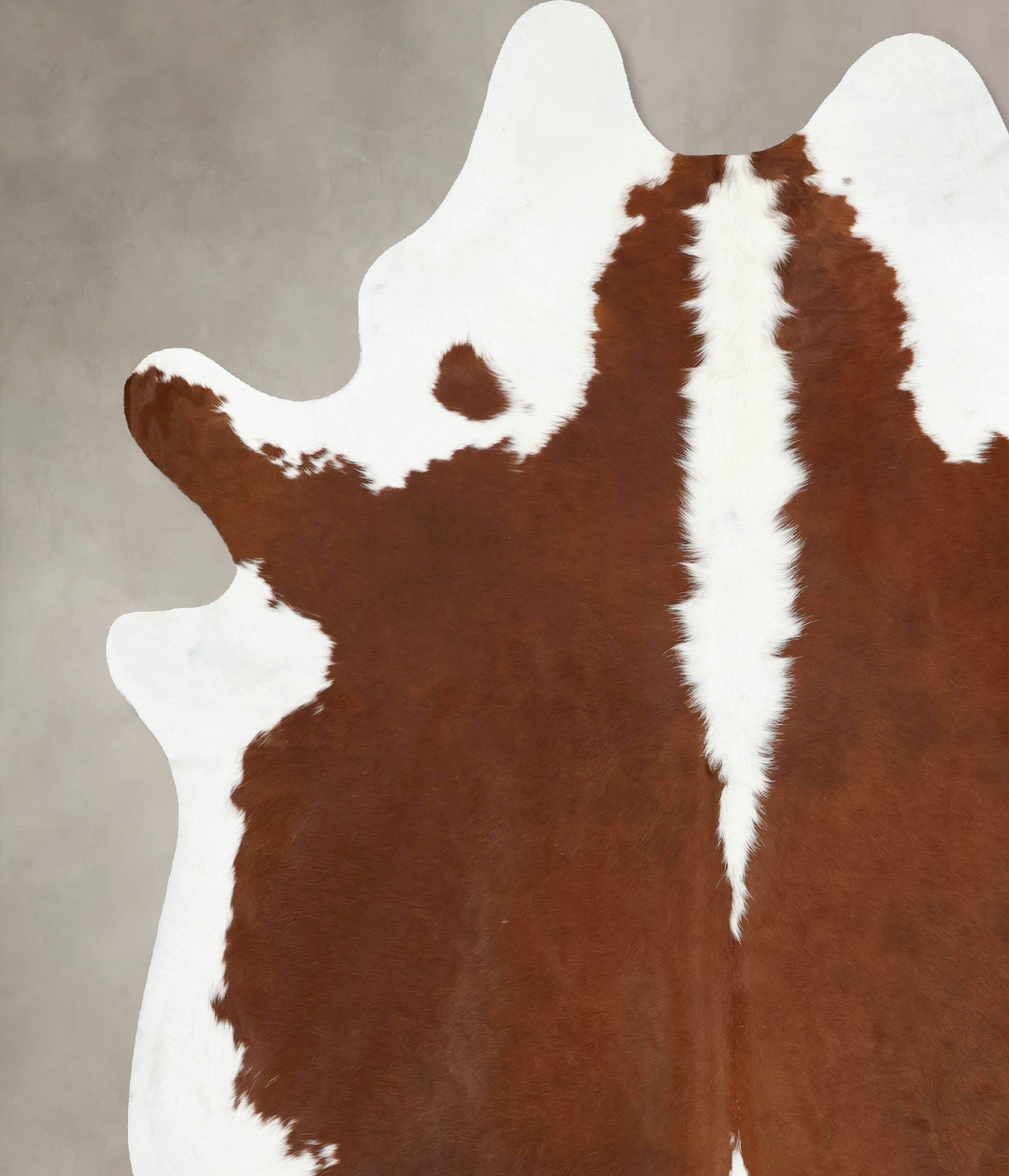 Hereford XX-Large Brazilian Cowhide Rug 9'2"H x 7'8"W #B12841 by Hudso