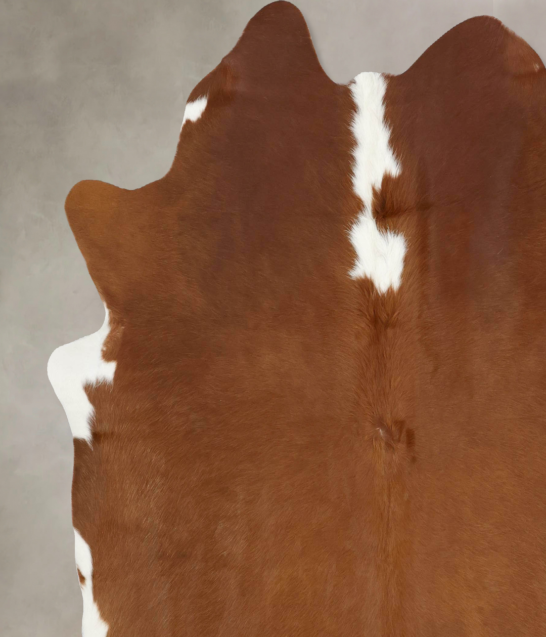 Brown and White Regular XX-Large Brazilian Cowhide Rug 7'1"H x 7'0"W #