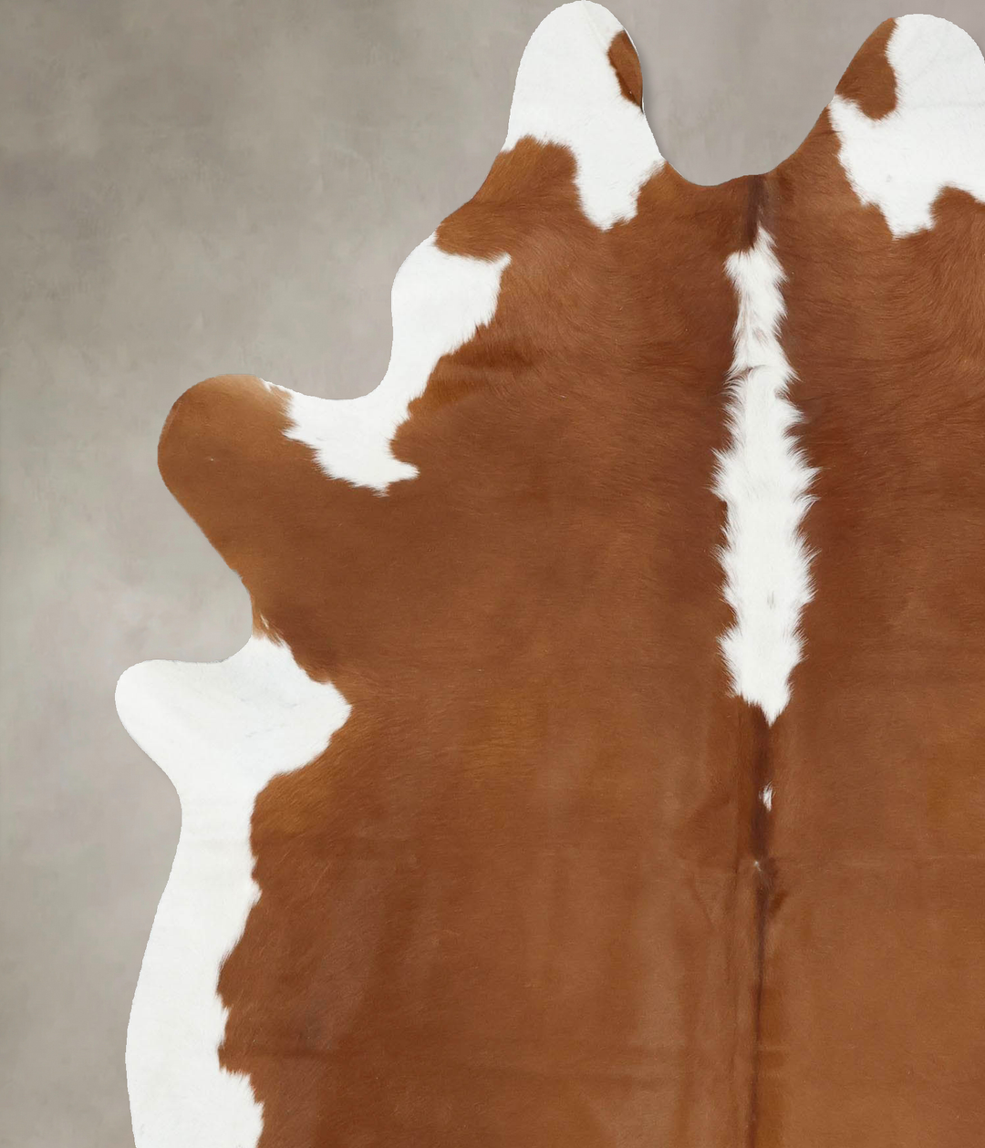 Hereford X-Large Brazilian Cowhide Rug 7'6"H x 5'10"W #B12858 by Hudso
