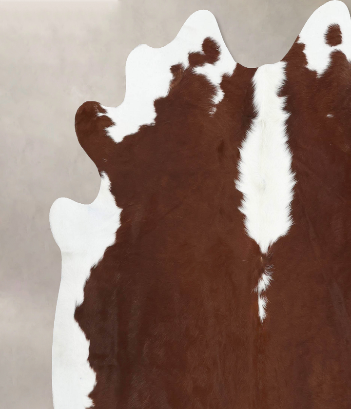 Hereford XX-Large Brazilian Cowhide Rug 7'2"H x 7'4"W #B12863 by Hudson Hides