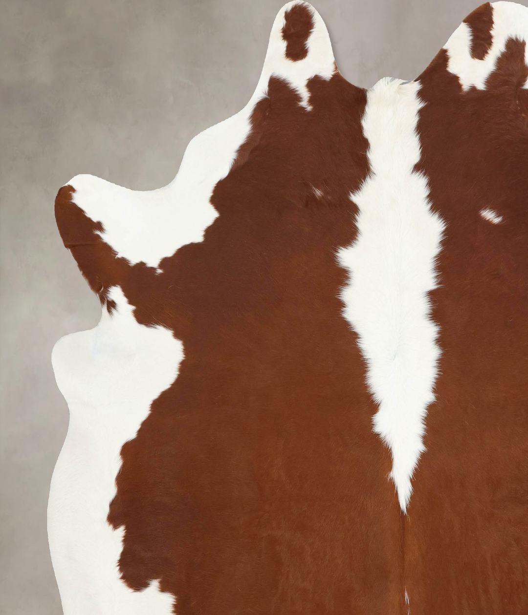 Hereford XX-Large Brazilian Cowhide Rug 7'9"H x 7'0"W #B12872 by Hudso