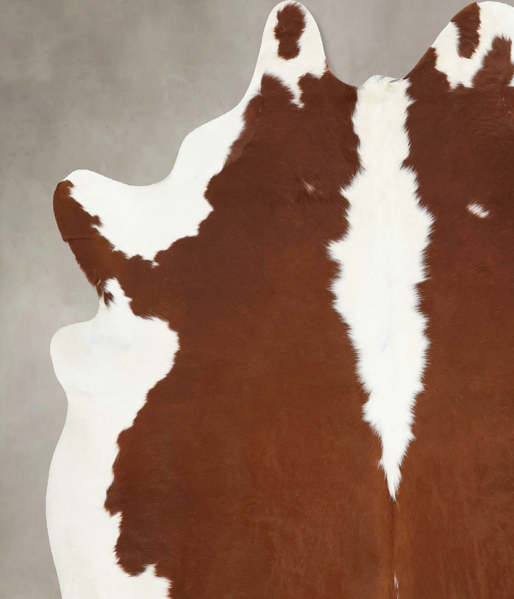 Hereford XX-Large Brazilian Cowhide Rug 7'9"H x 7'0"W #B12872 by Hudson Hides