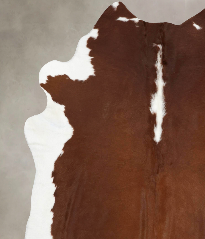 Hereford XX-Large Brazilian Cowhide Rug 7'10"H x 7'1"W #B12876 by Hudson Hides
