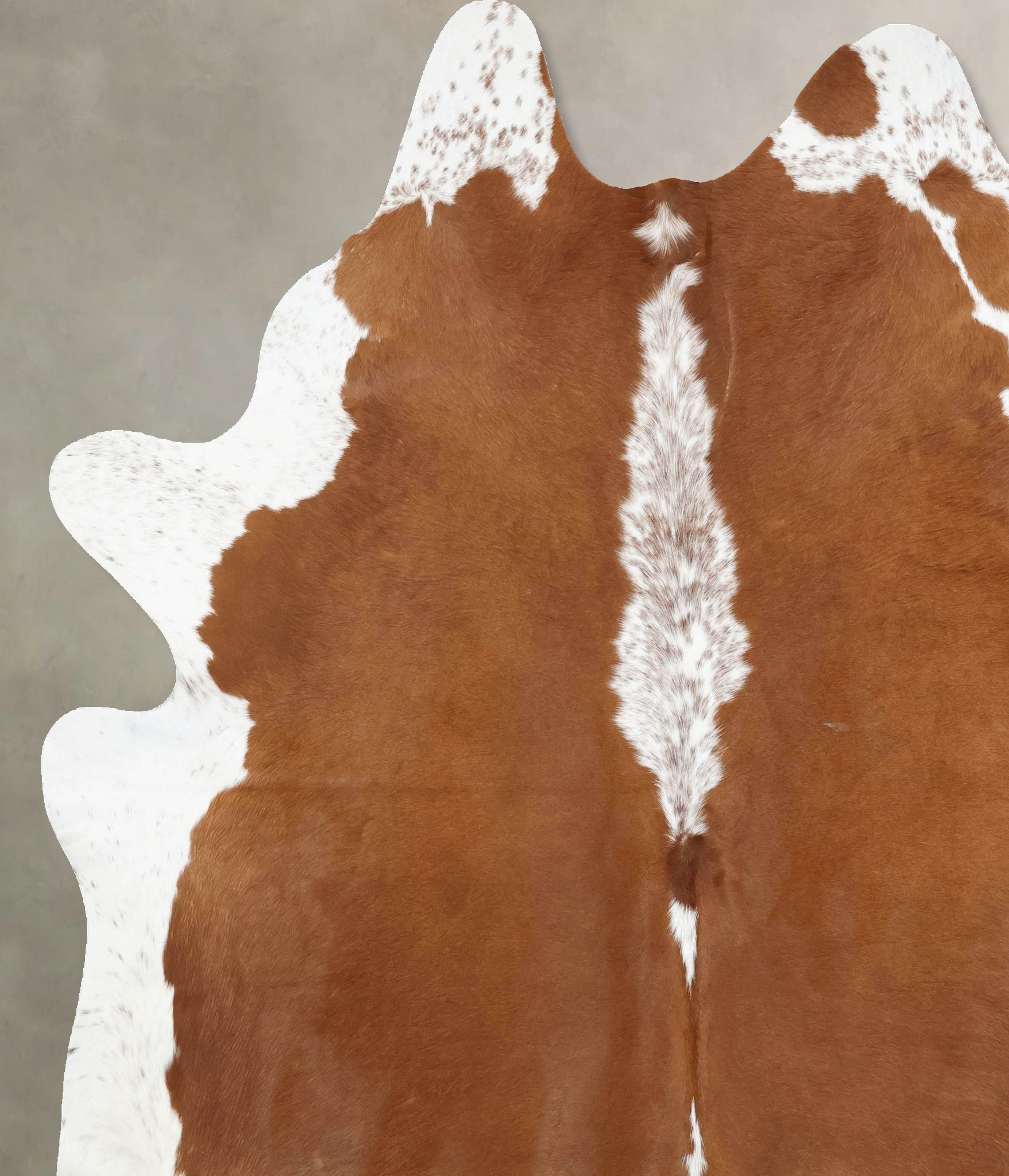 Brown and White Regular Cowhide Rug #B12877