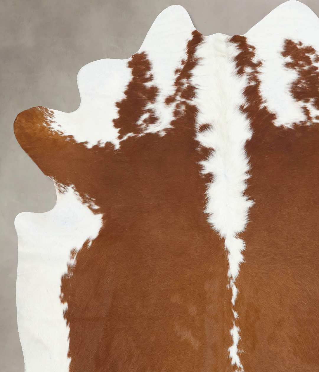 Hereford XX-Large Brazilian Cowhide Rug 7'11"H x 6'11"W #B12883 by Hud