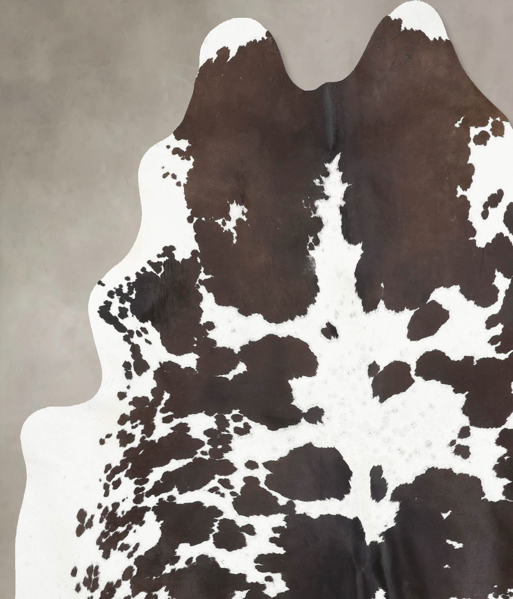 Chocolate and White Cowhide Rug #B12891