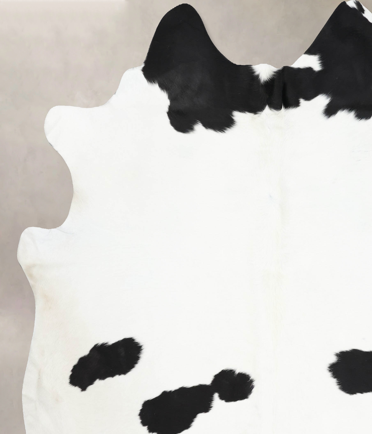 Black and White XX-Large Brazilian Cowhide Rug 8'2"H x 7'1"W #B12893 by Hudson Hides