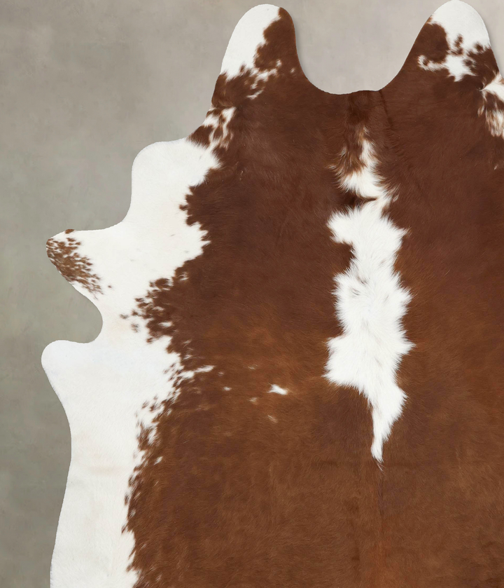 Hereford XX-Large Brazilian Cowhide Rug 8'9"H x 7'6"W #B12899 by Hudson Hides