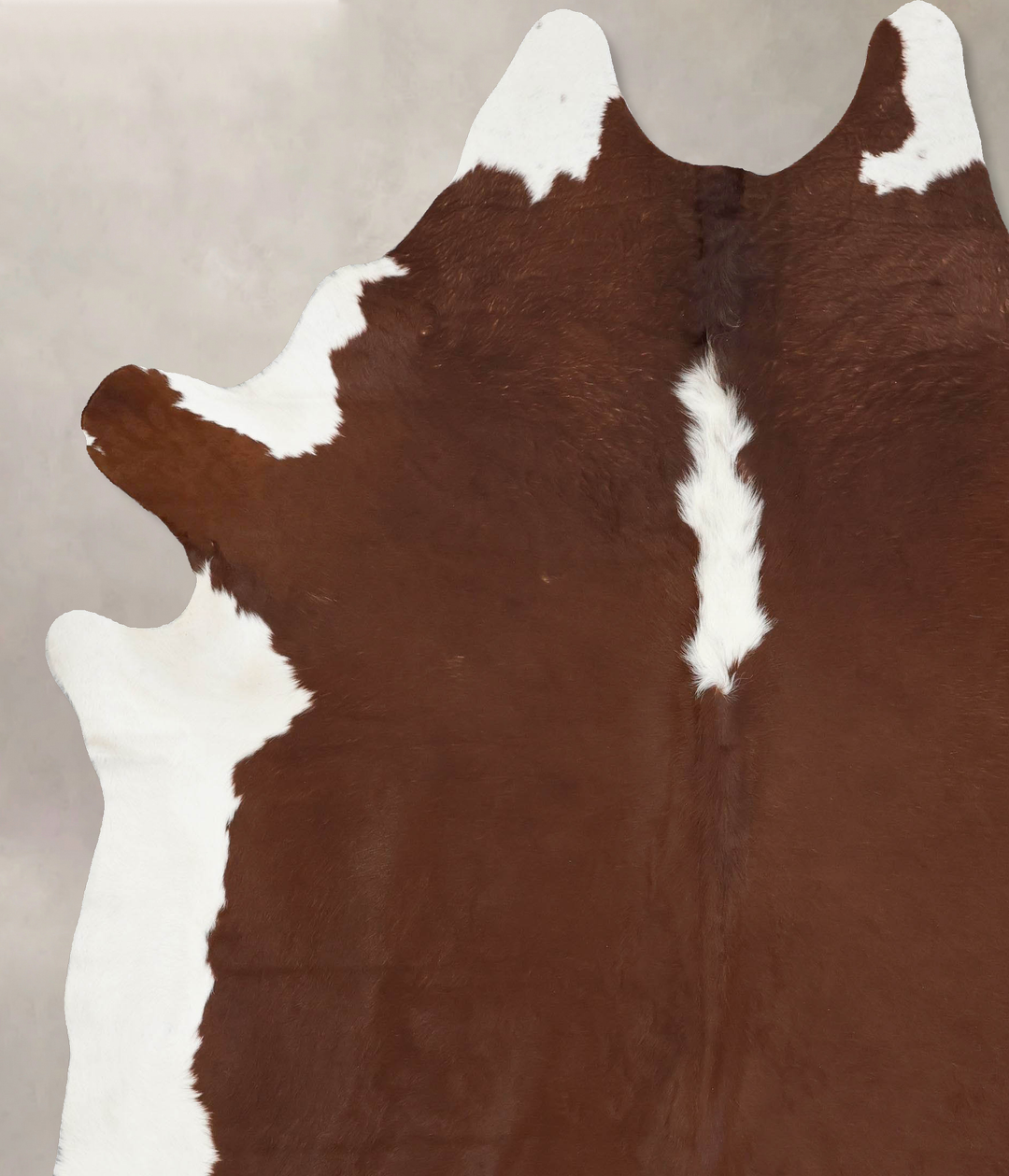 Hereford XX-Large Brazilian Cowhide Rug 9'1"H x 7'4"W #B12900 by Hudso