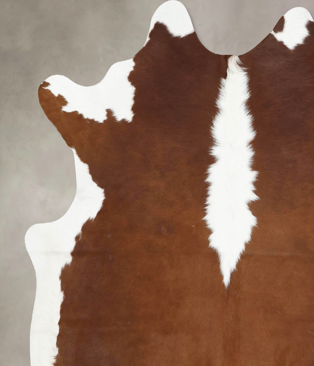 Hereford X-Large Brazilian Cowhide Rug 7'5"H x 6'3"W #B12904 by Hudson