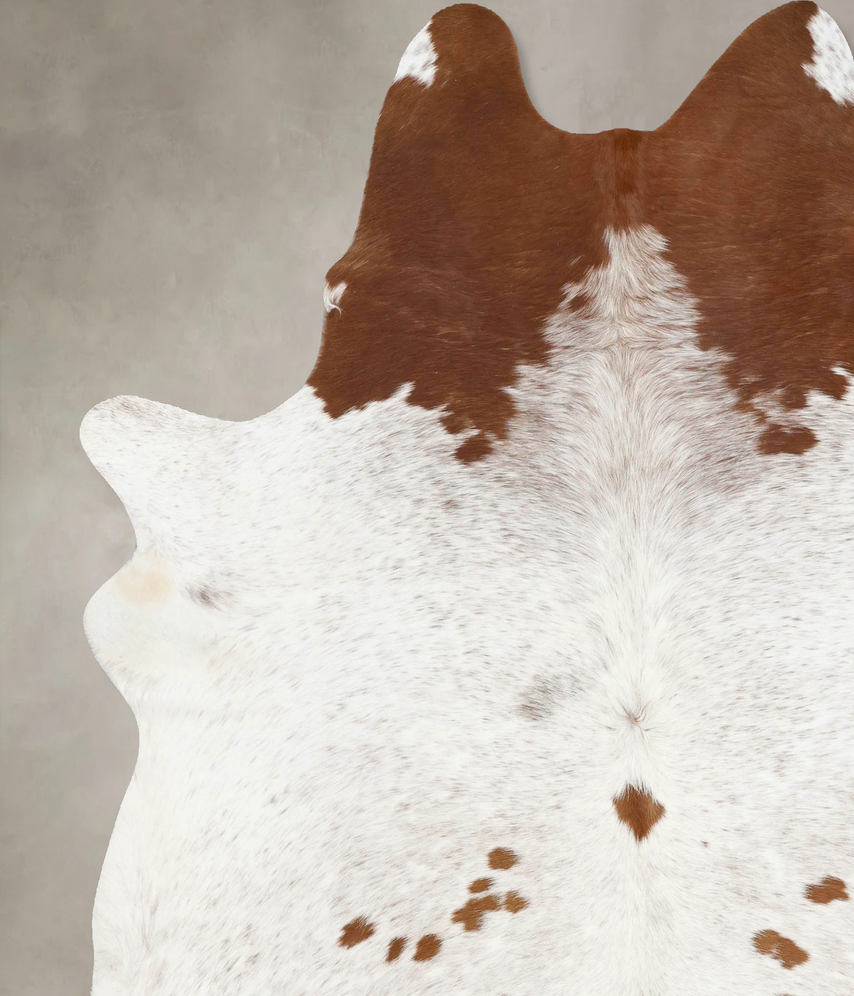 Brown and White XX-Large Brazilian Cowhide Rug 8'2"H x 6'10"W #B12917 by Hudson Hides