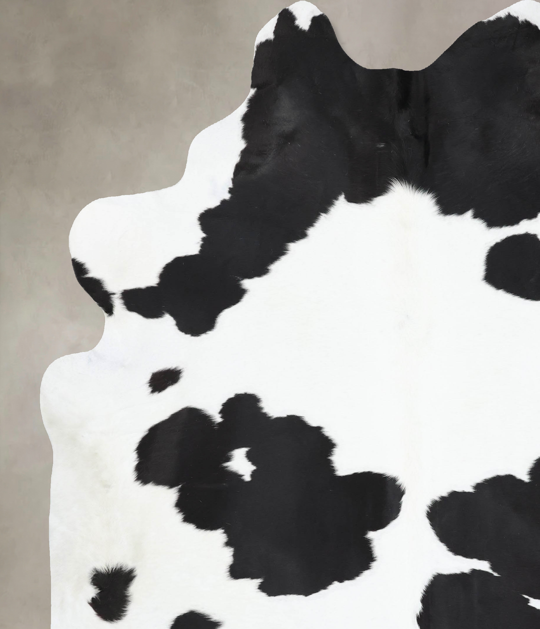 Black and White XX-Large Brazilian Cowhide Rug 8'11"H x 7'3"W #B12945 