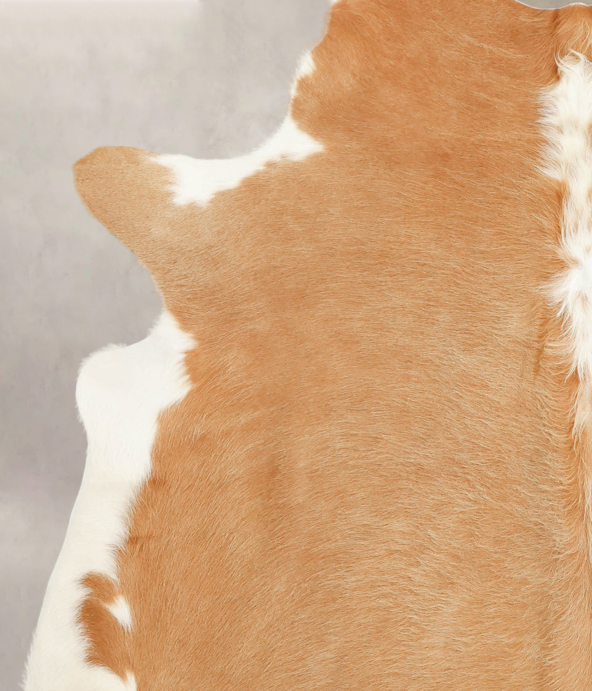 Beige and White X-Large Brazilian Cowhide Rug 7'5"H x 6'8"W #B1301 by Hudson Hides
