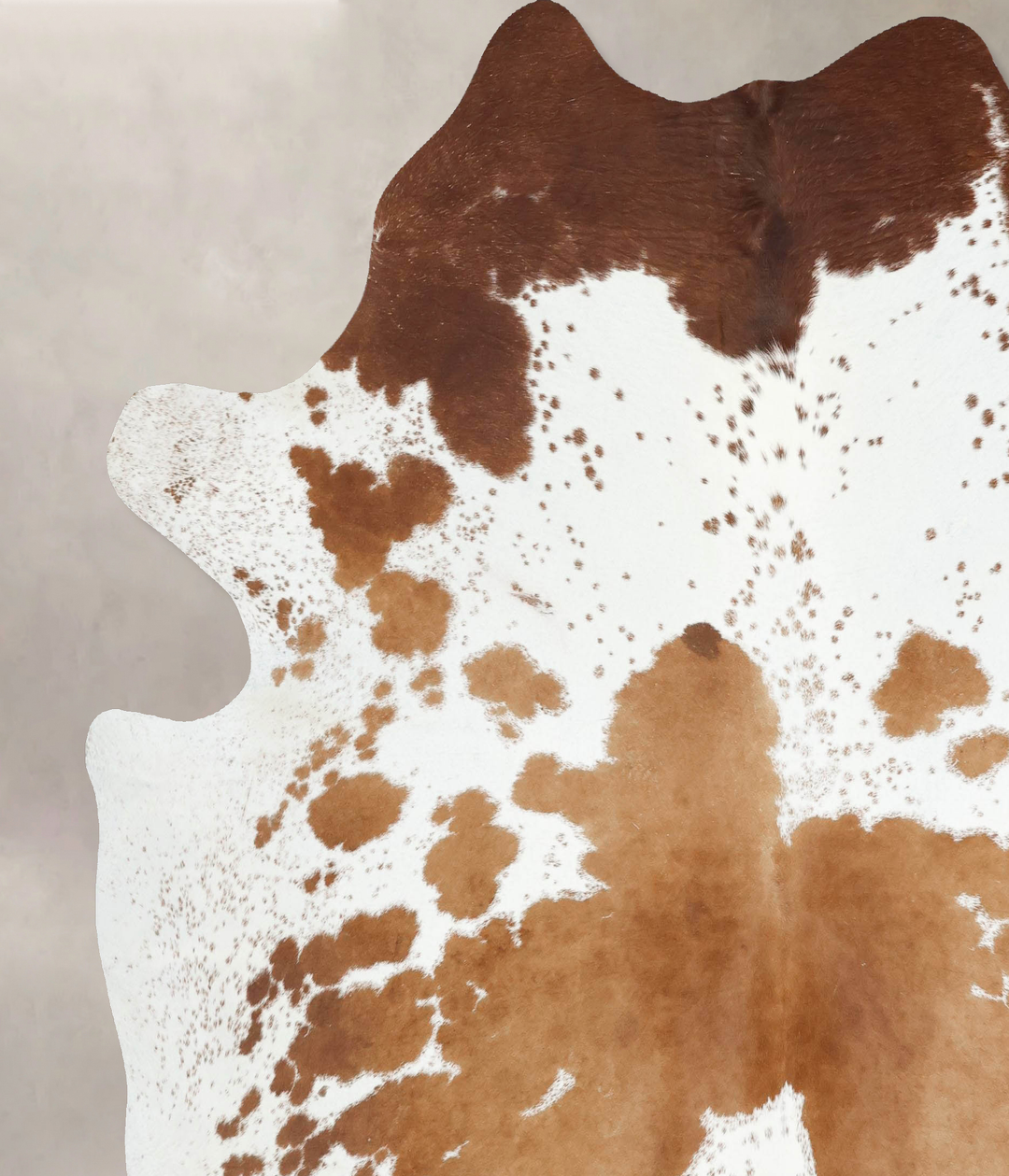 Brown and White XX-Large Brazilian Cowhide Rug 8'1"H x 7'4"W #B13024 b