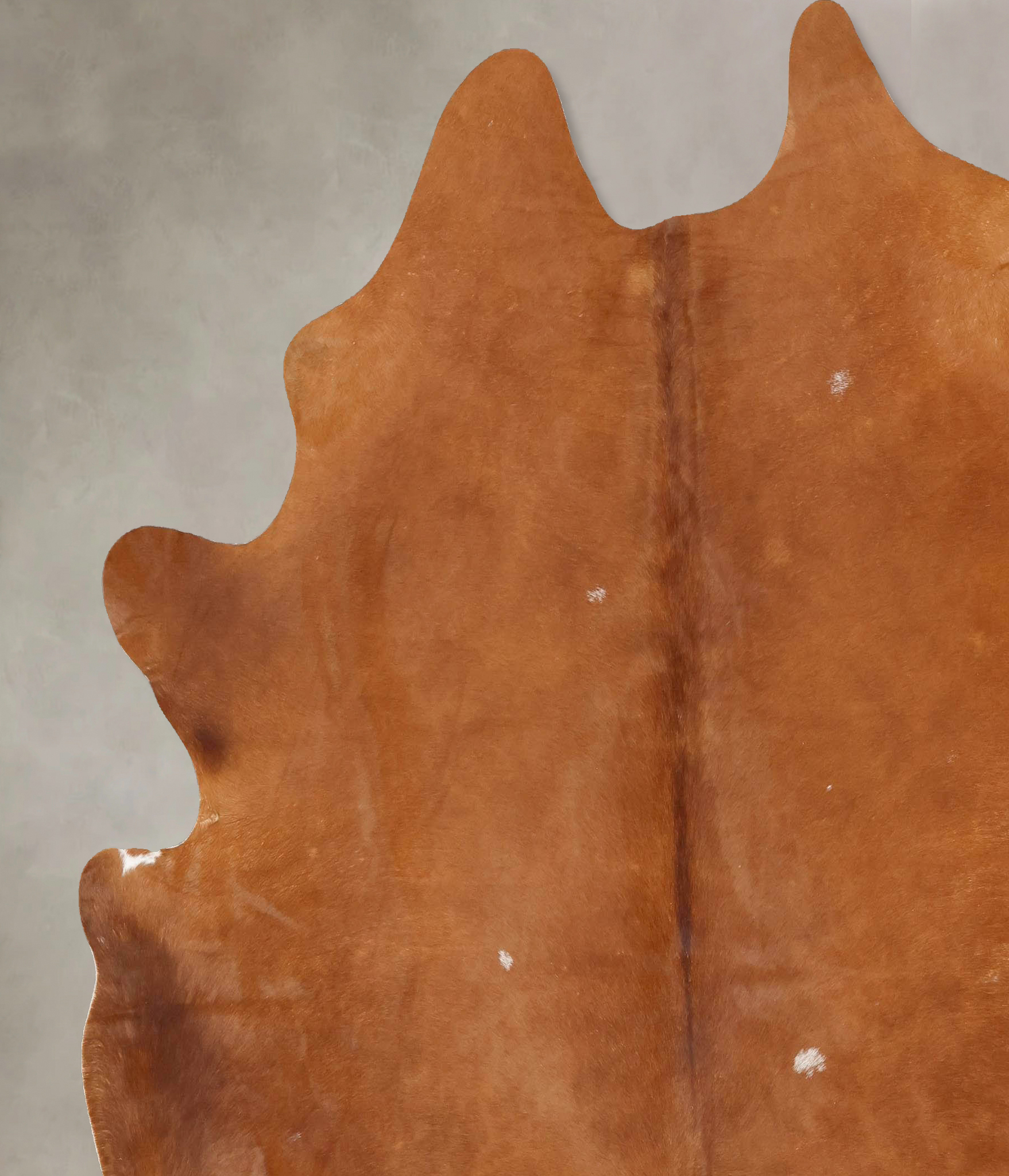 Solid Brown Cowhide Rug #B13071