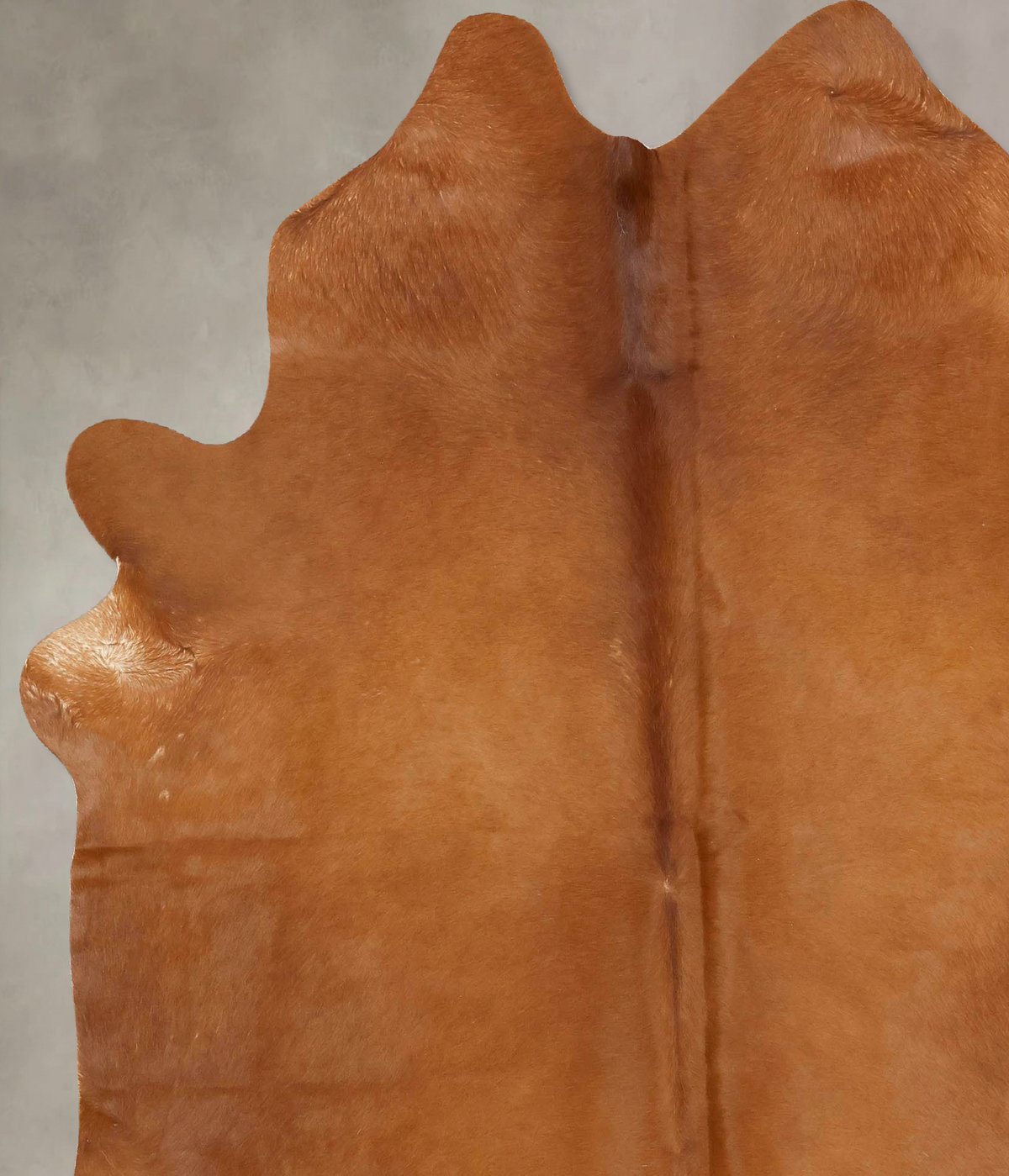 Solid Brown X-Large Brazilian Cowhide Rug 7'8"H x 6'6"W #B13072 by Hudson Hides