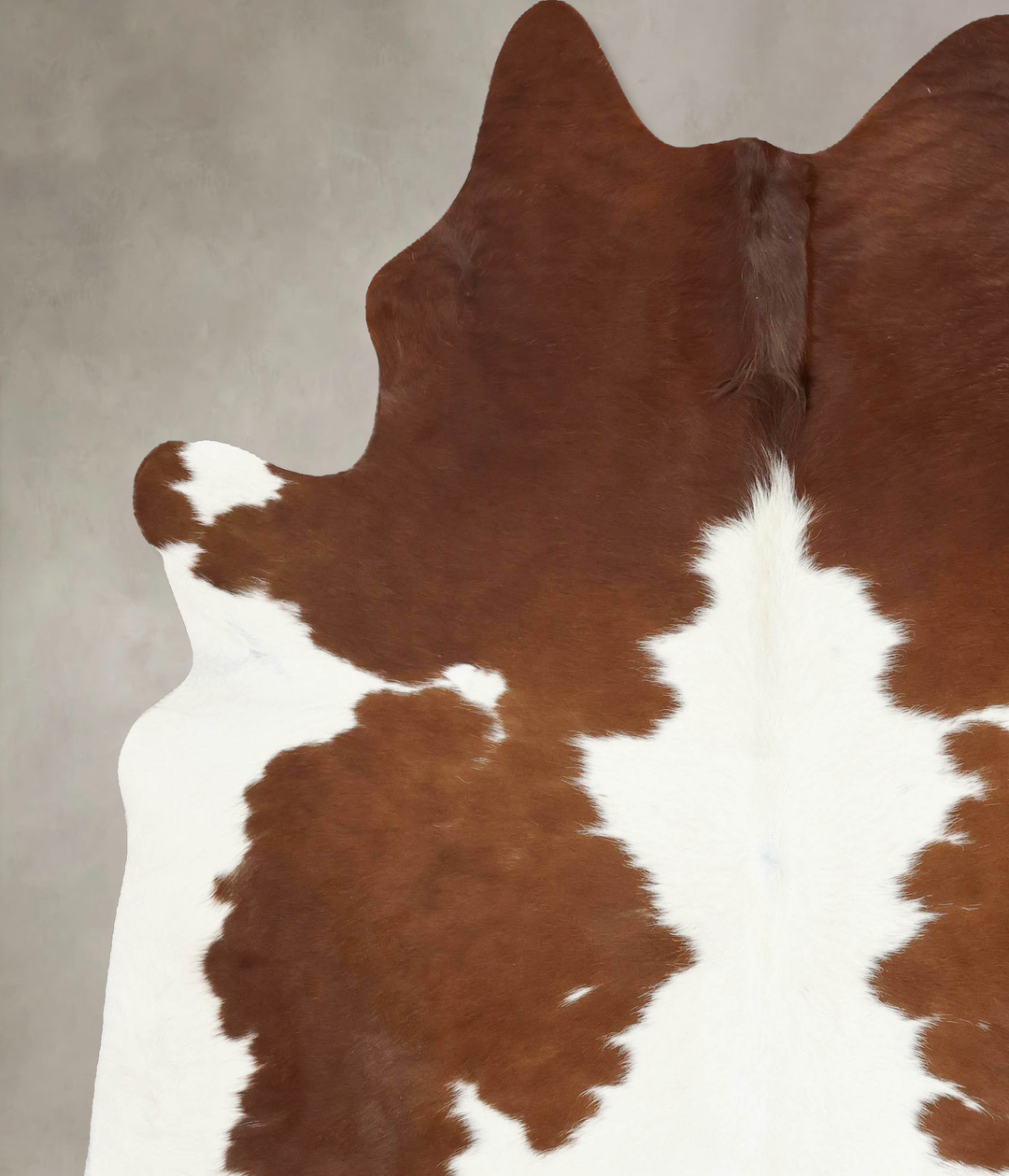 Brown and White XX-Large Brazilian Cowhide Rug 8'0"H x 6'10"W #B13087 