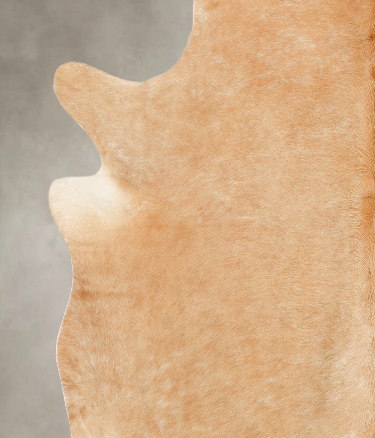 Beige XX-Large Brazilian Cowhide Rug 7'7"H x 6'8"W #B1311 by Hudson Hides