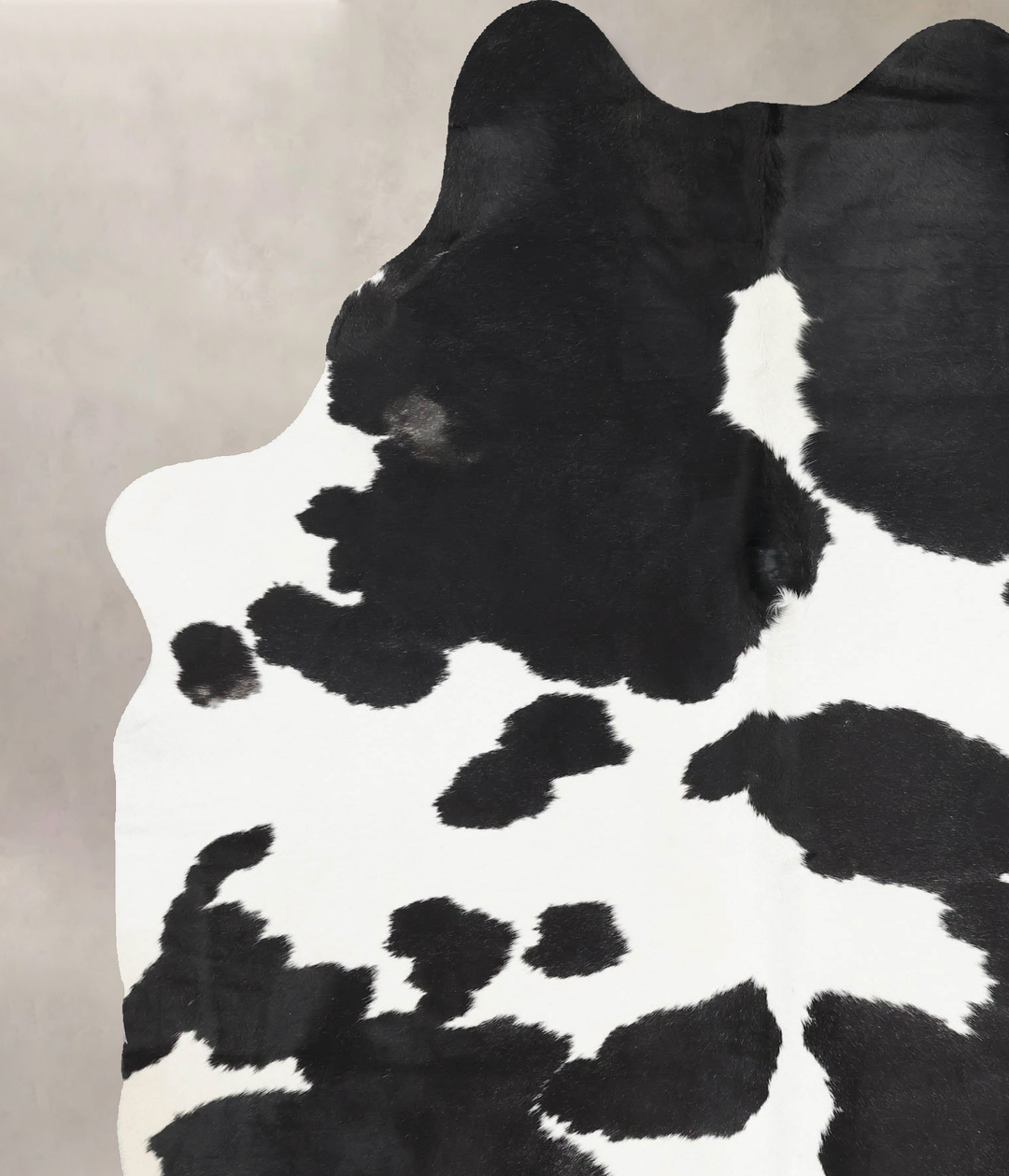Black and White XX-Large Brazilian Cowhide Rug 8'5"H x 6'0"W #B13138 b