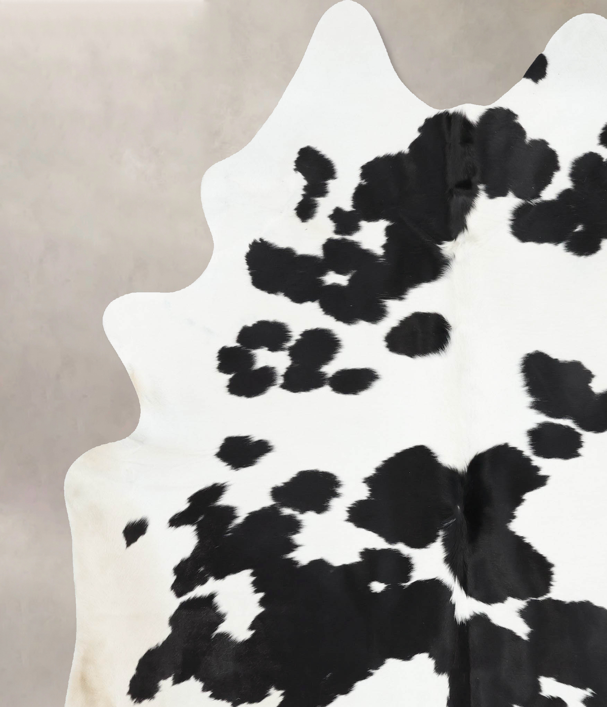 Black and White XX-Large Brazilian Cowhide Rug 8'9"H x 6'10"W #B13179 by Hudson Hides