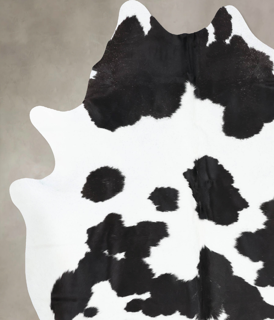 Black and White XX-Large Brazilian Cowhide Rug 8'4"H x 7'0"W #B13203 b