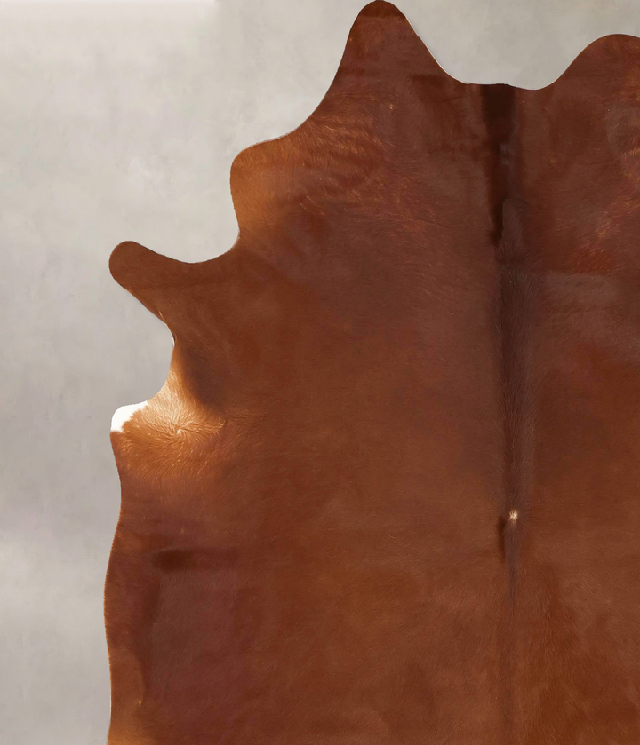 Solid Brown X-Large Brazilian Cowhide Rug 7'5"H x 6'3"W #B13211 by Hudson Hides