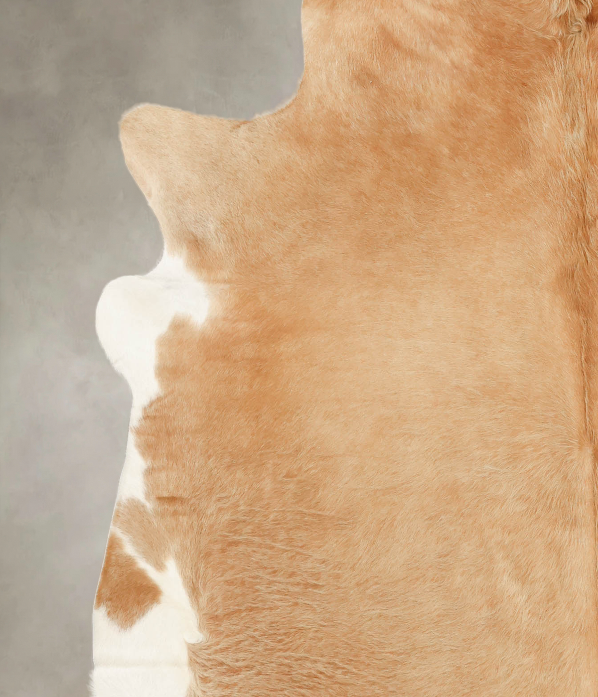 Beige XX-Large Brazilian Cowhide Rug 7'3"H x 6'11"W #B1323 by Hudson Hides