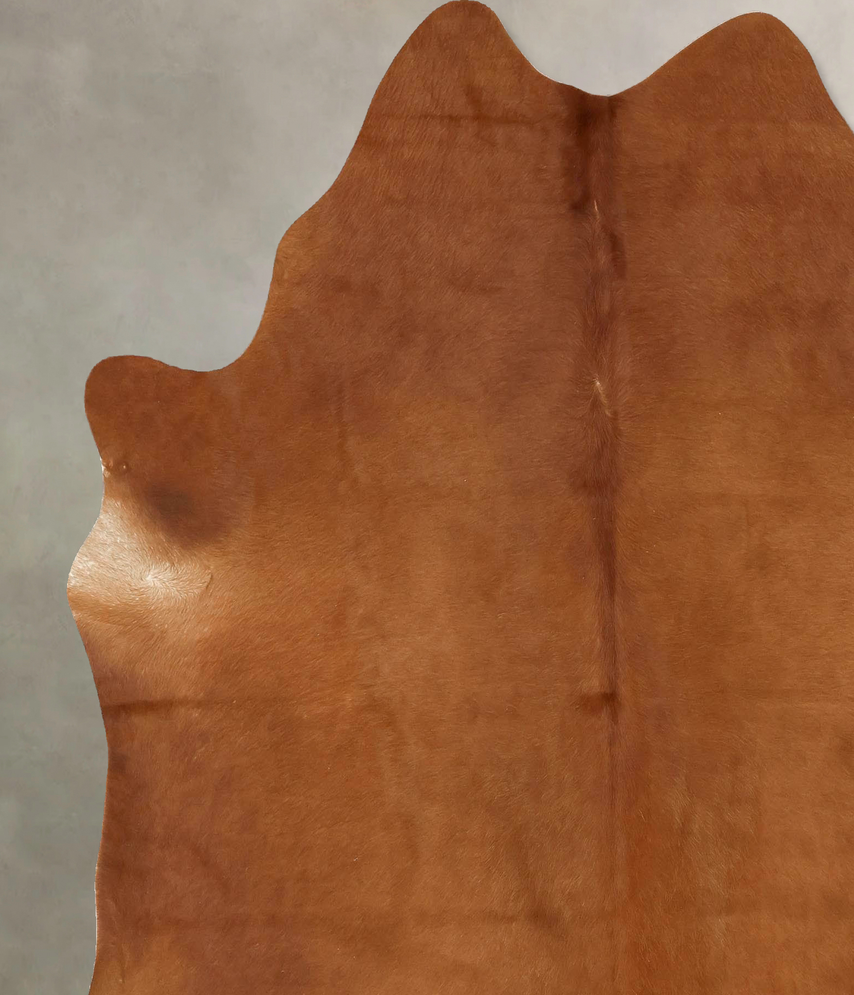 Solid Brown Cowhide Rug #B13246