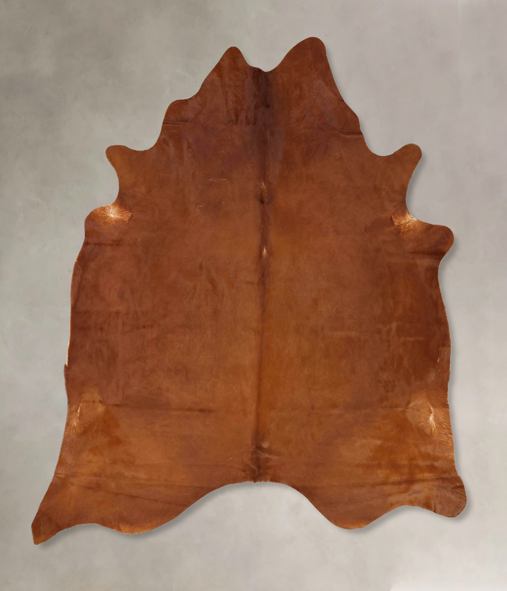 Solid Brown Cowhide Rug #B13257