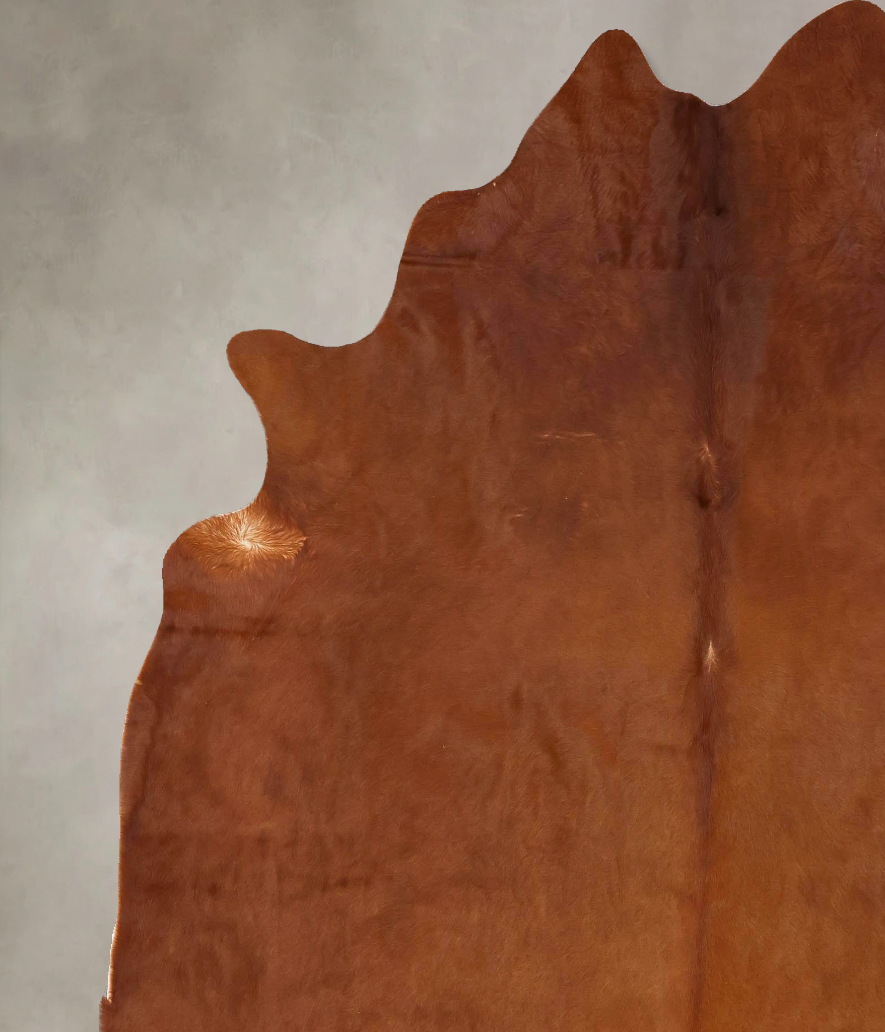 Solid Brown Cowhide Rug #B13257