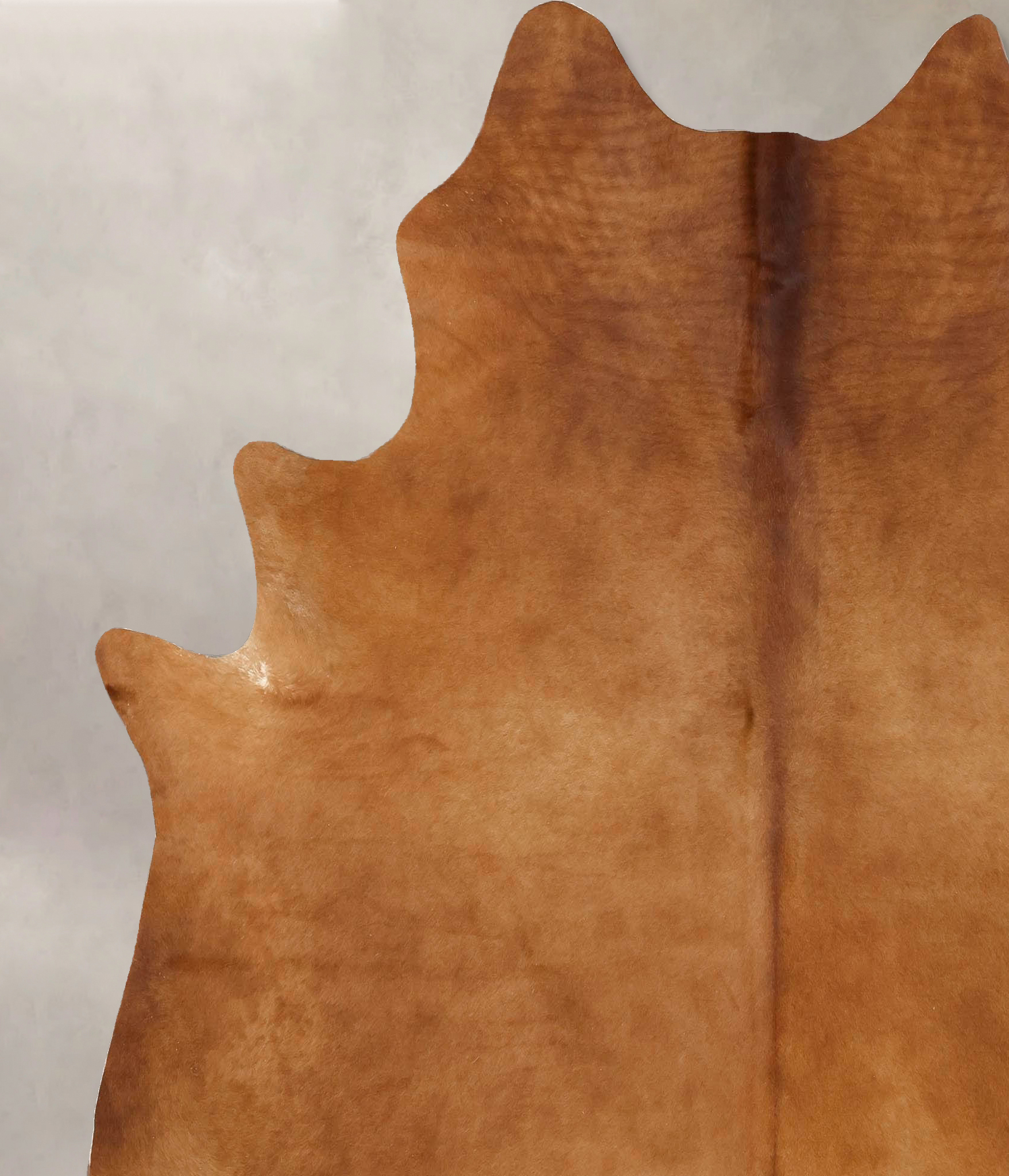 Solid Brown Cowhide Rug #B13261