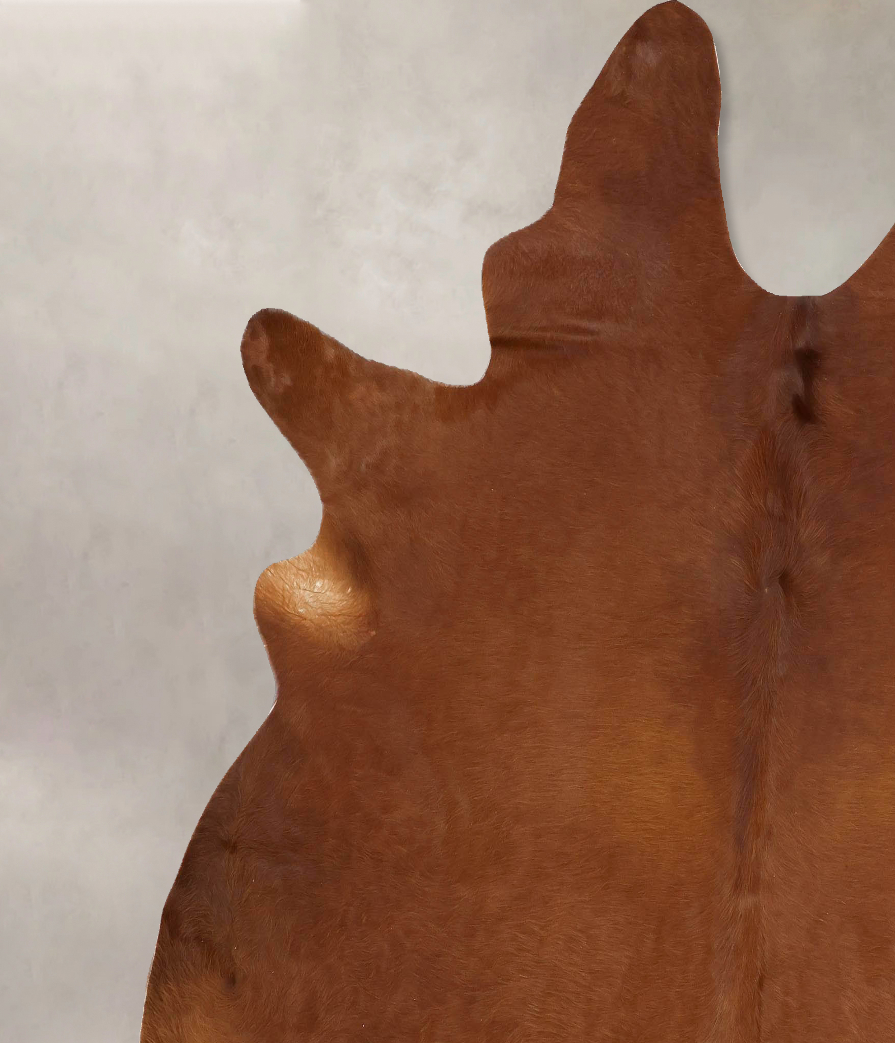 Solid Brown Cowhide Rug #B13267