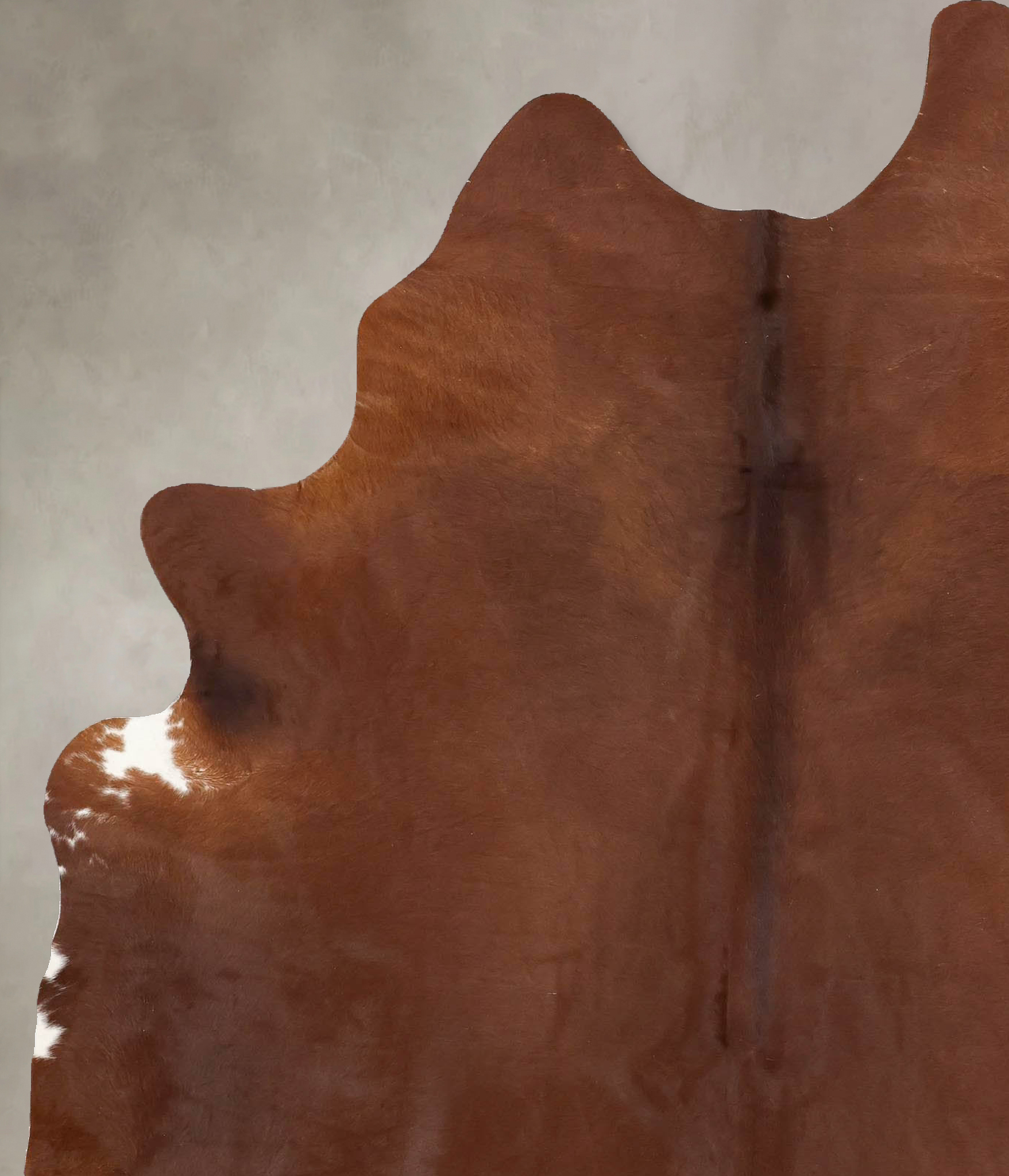 Solid Brown Cowhide Rug #B13272