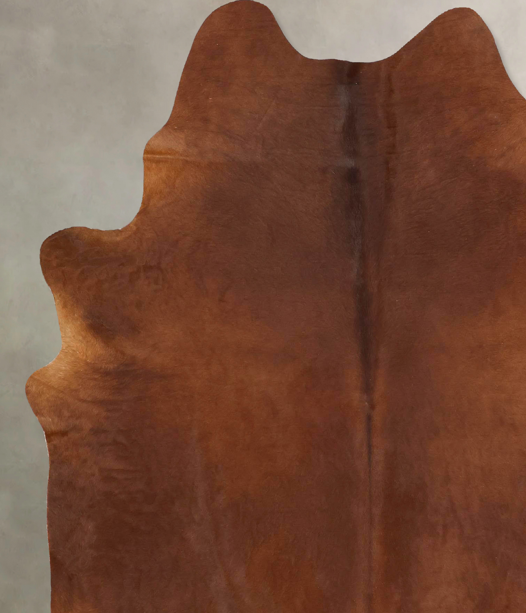 Solid Brown Cowhide Rug #B13275
