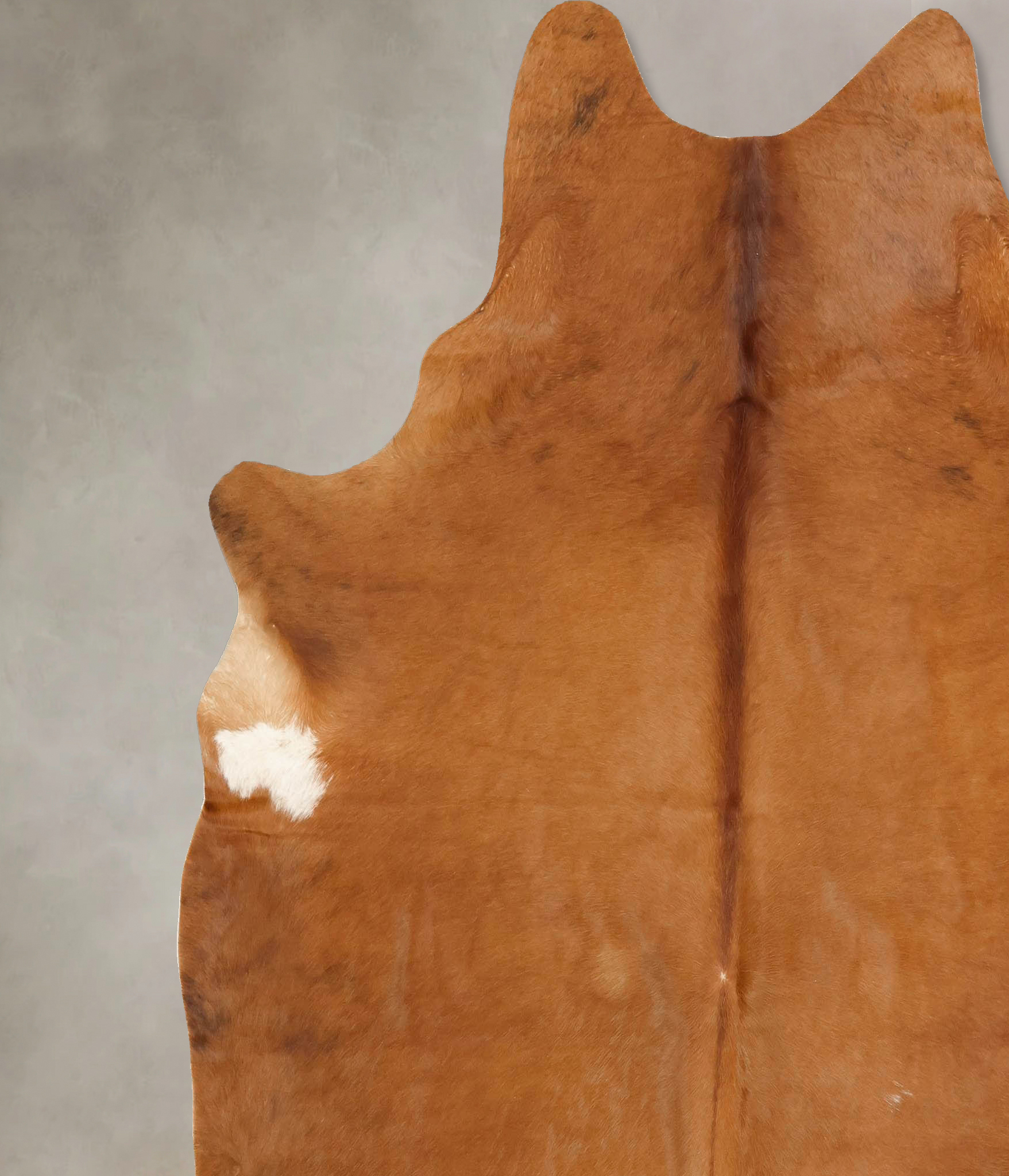 Solid Brown Cowhide Rug #B13276