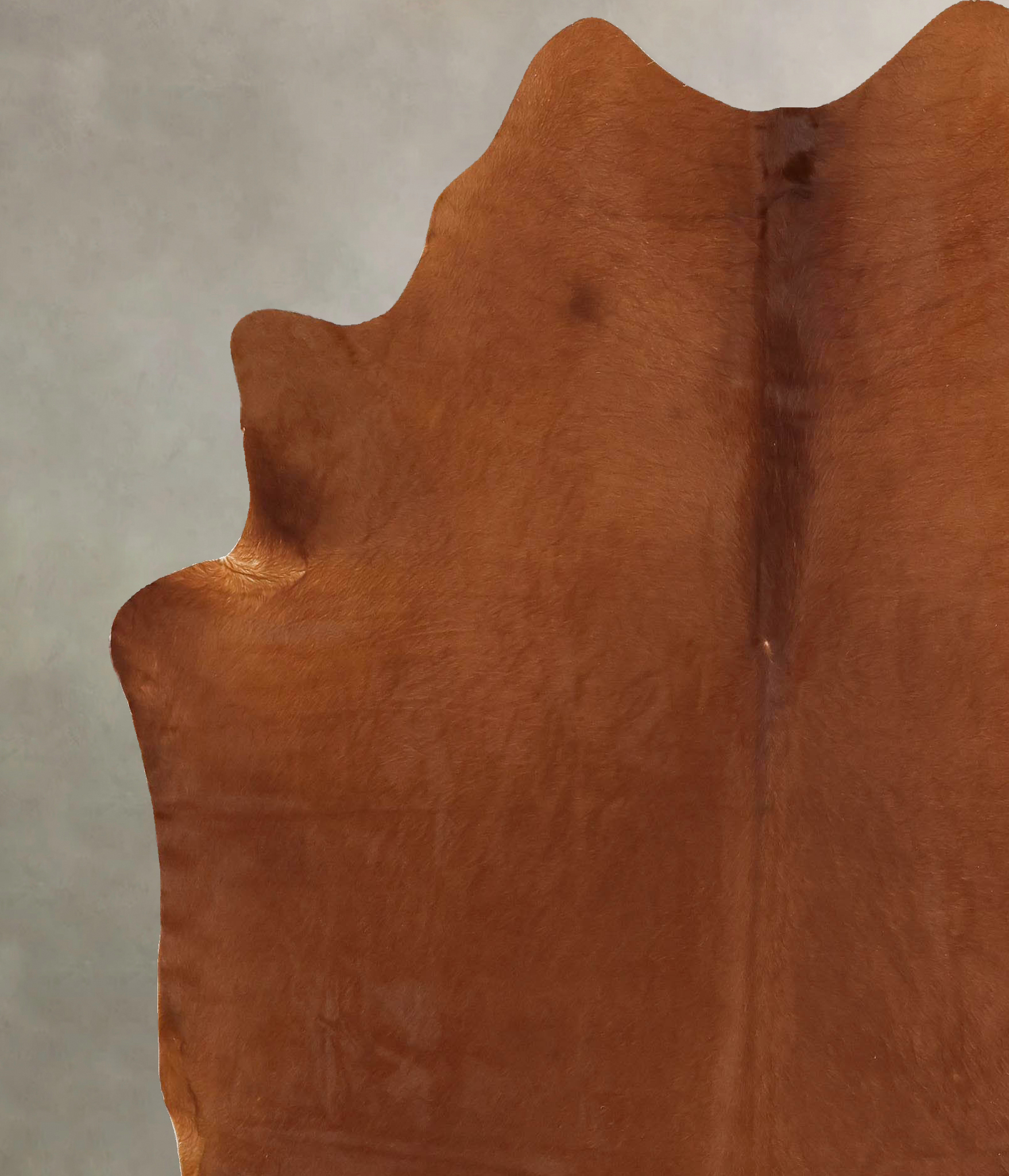 Solid Brown Cowhide Rug #B13277