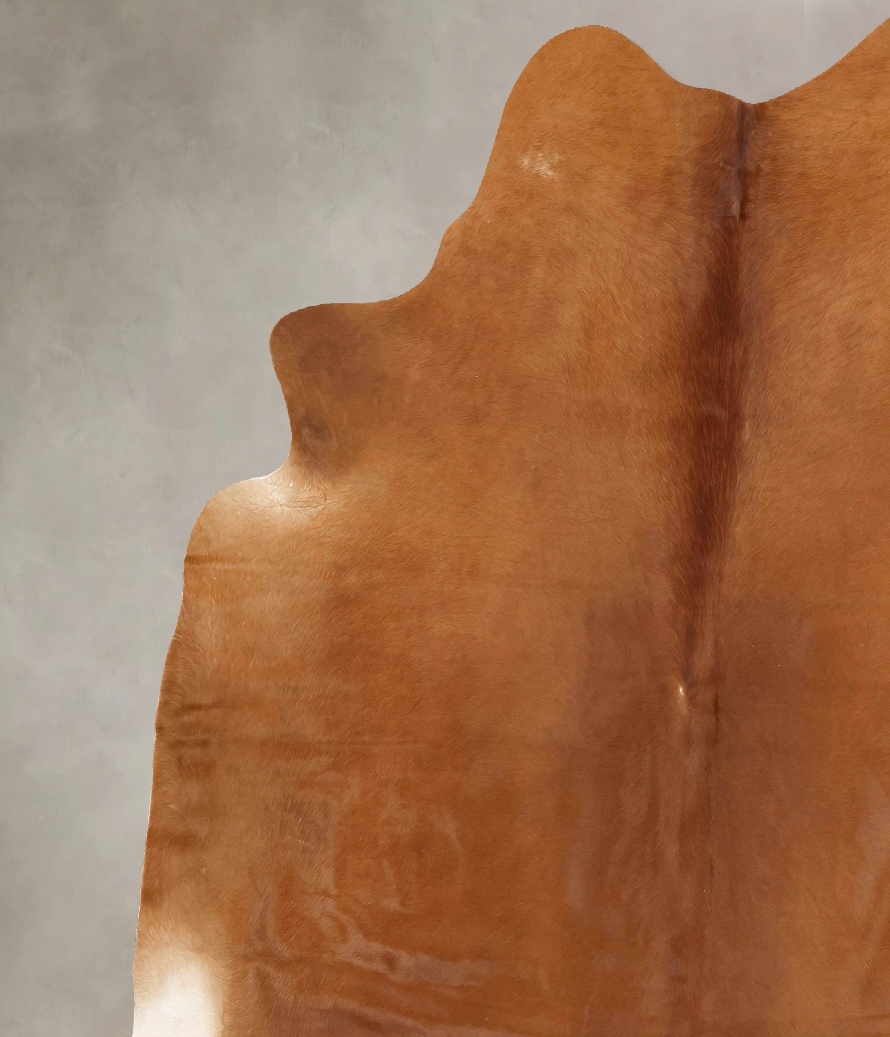 Solid Brown Cowhide Rug #B13279
