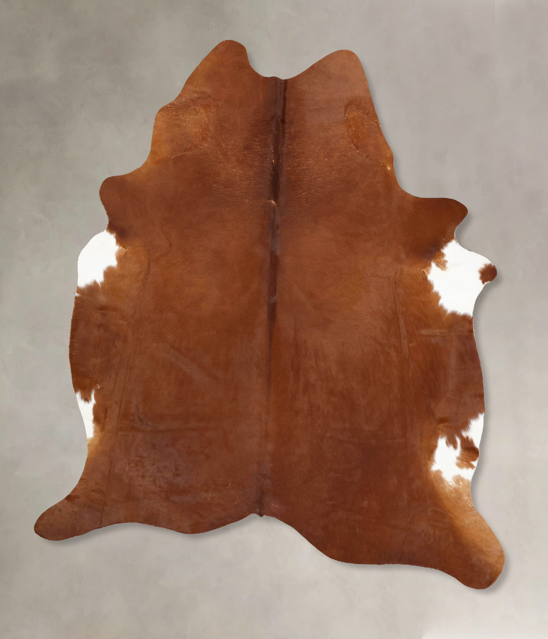 Solid Brown Cowhide Rug #B13285