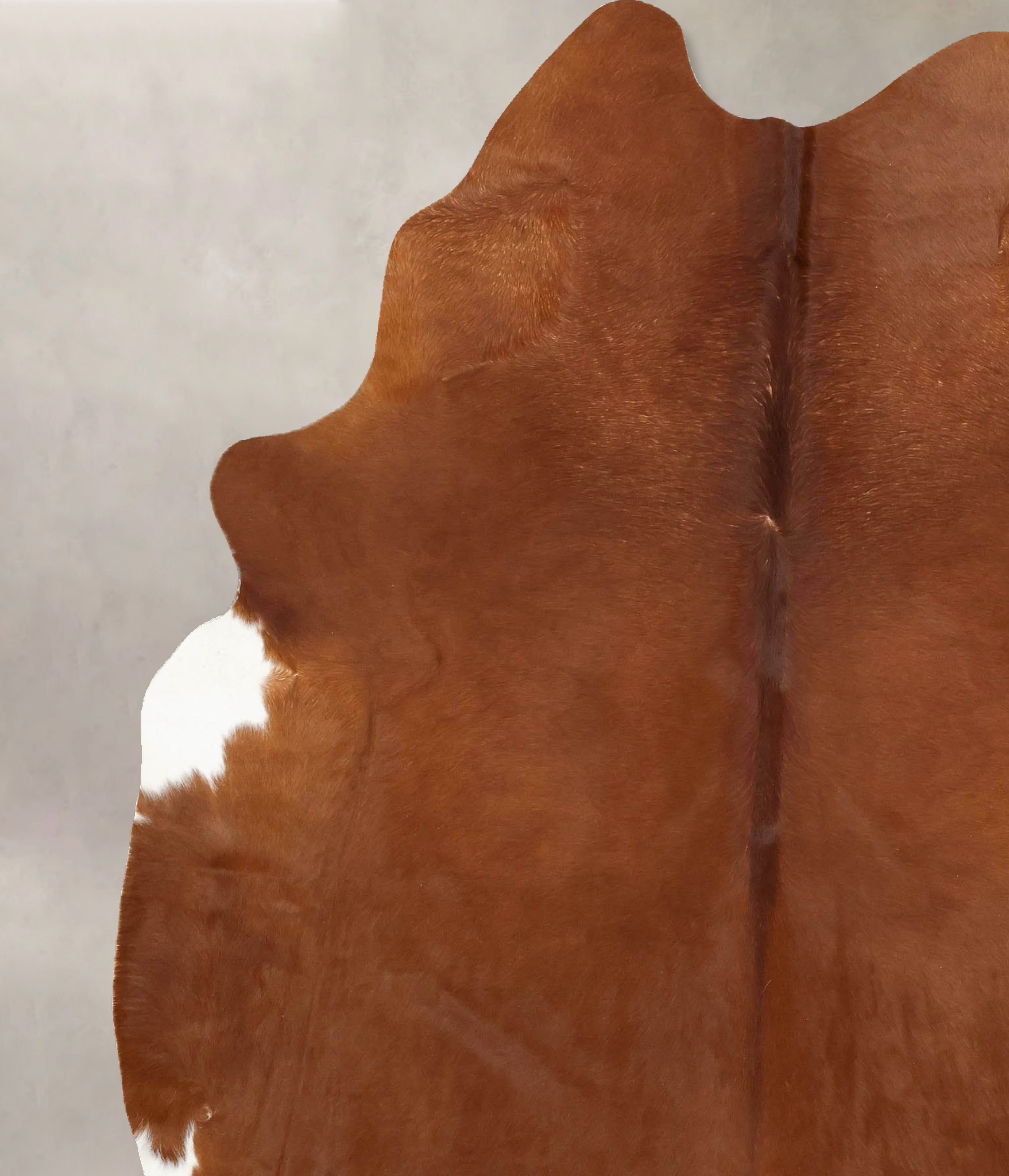 Solid Brown Cowhide Rug #B13285