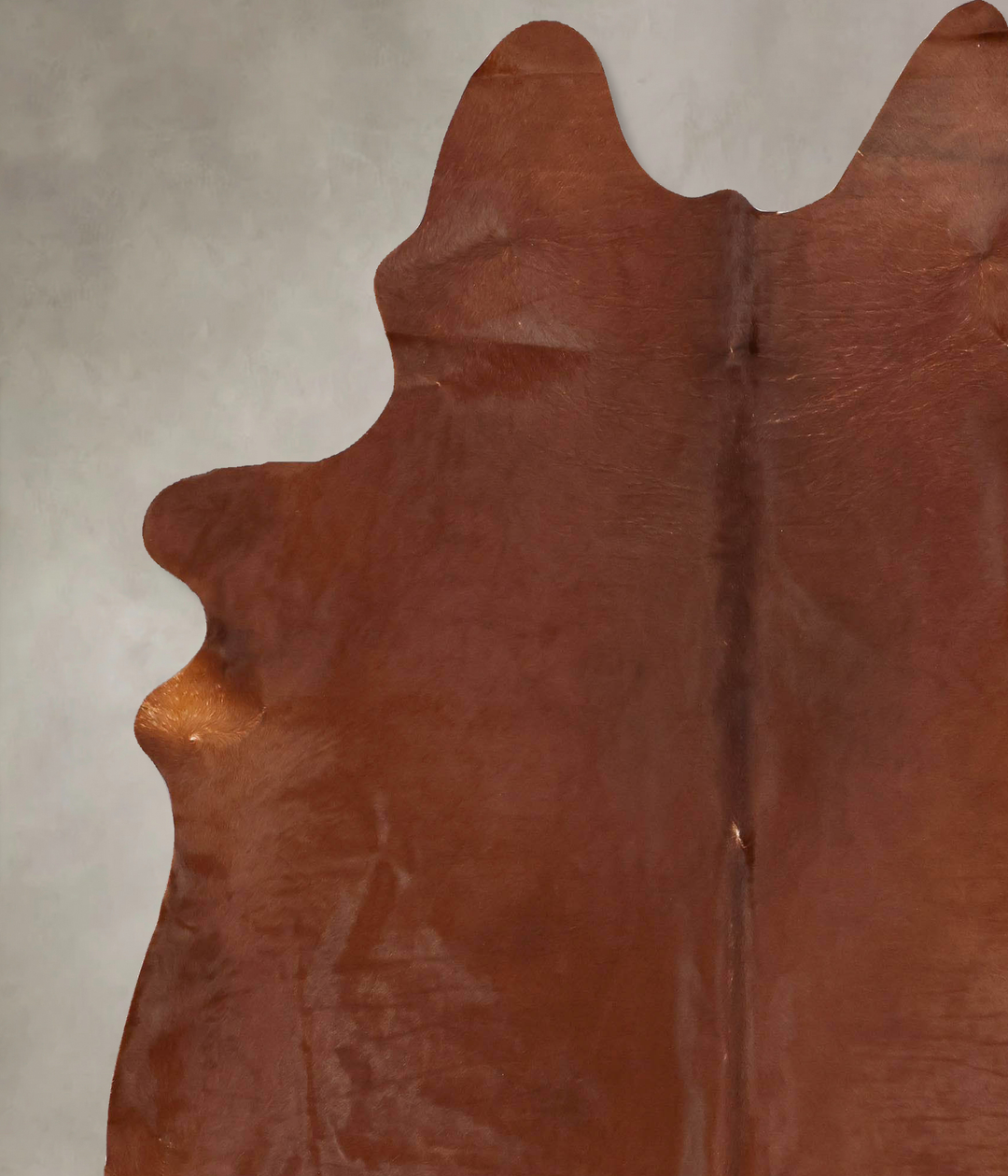 Solid Brown XX-Large Brazilian Cowhide Rug 8'1"H x 6'8"W #B13302 by Hu