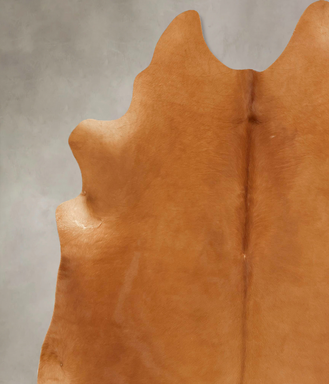 Solid Brown XX-Large Brazilian Cowhide Rug 7'11"H x 6'9"W #B13305 by H