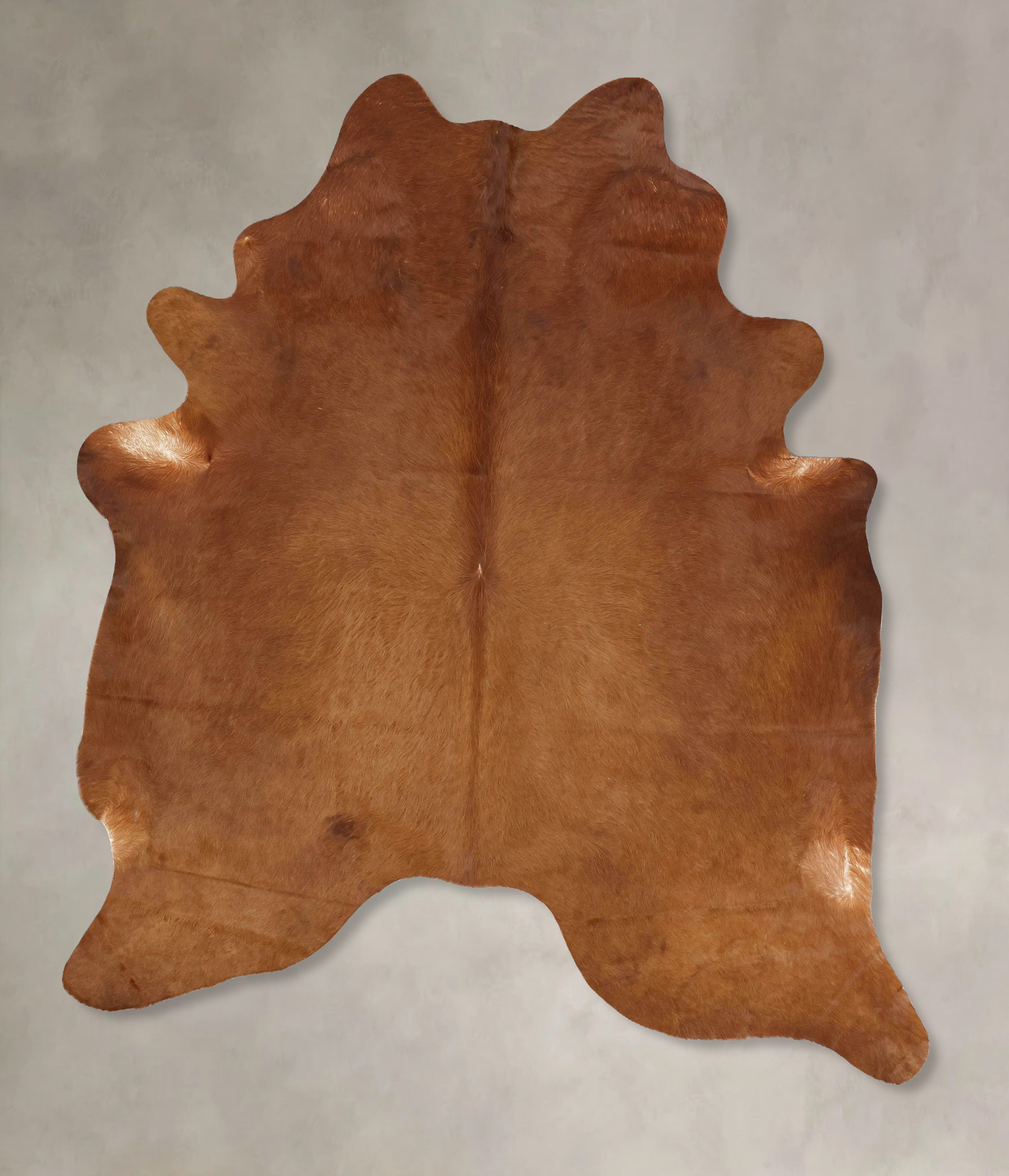 Solid Brown Cowhide Rug #B13306