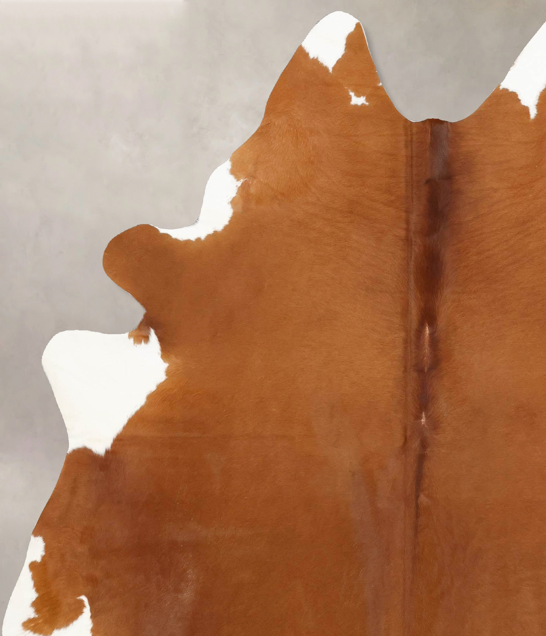 Brown and White Regular X-Large Brazilian Cowhide Rug 7'3"H x 5'10"W #