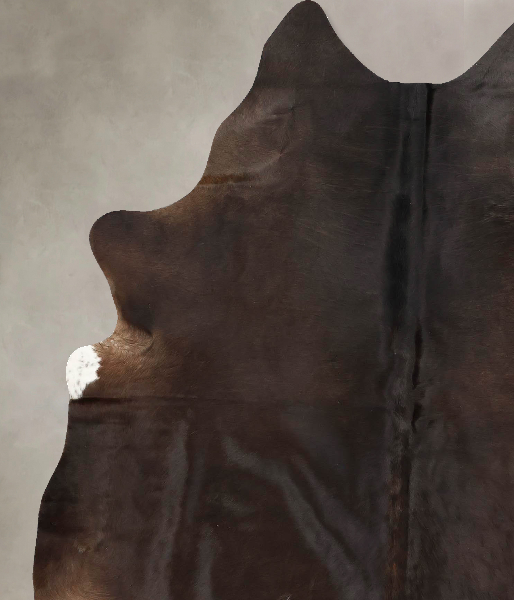 Chocolate Cowhide Rug #B13316