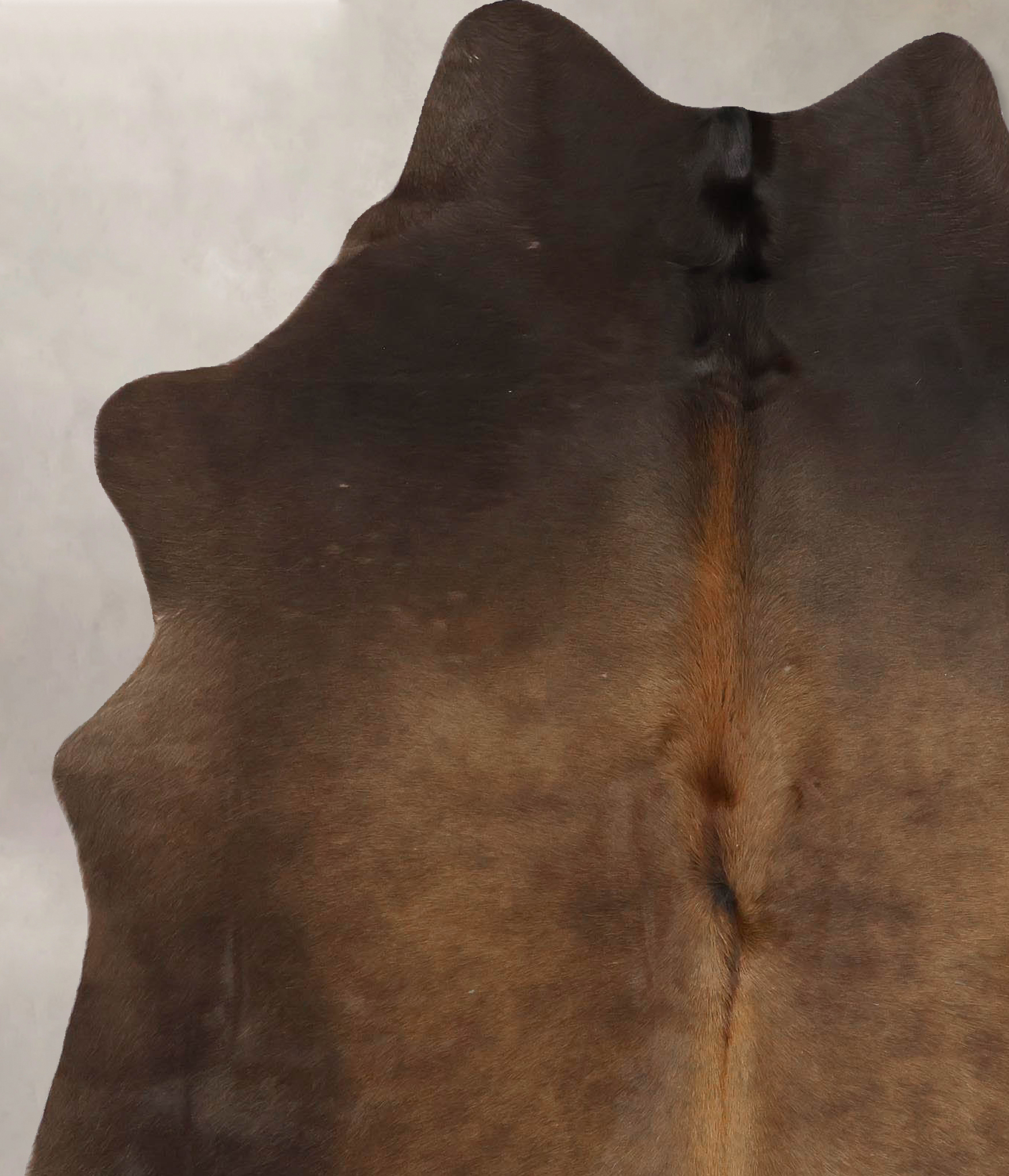 Chocolate Cowhide Rug #B13325