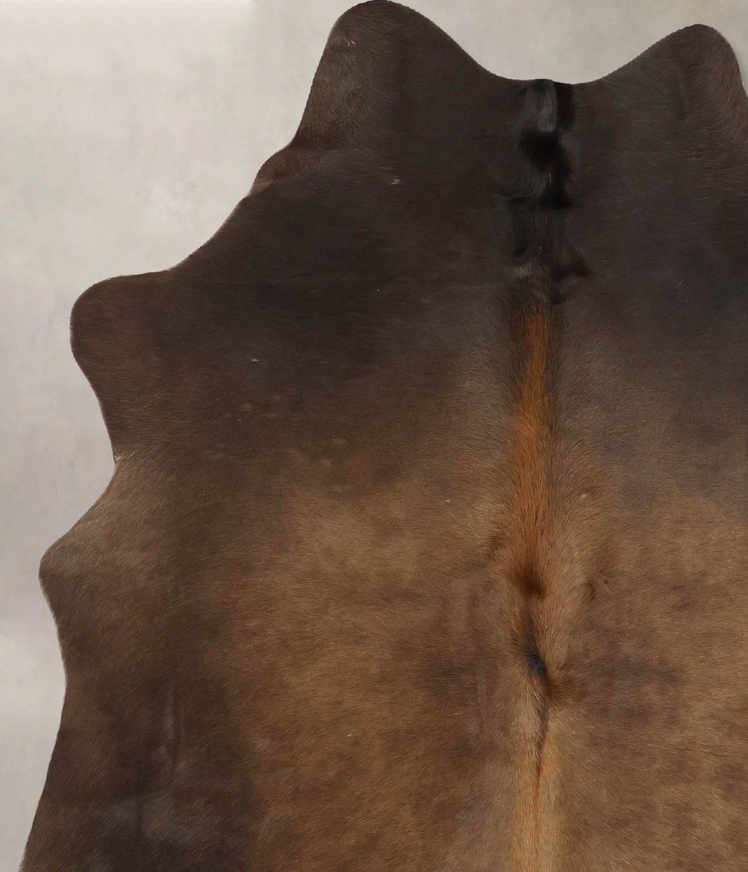 Chocolate Large Brazilian Cowhide Rug 6'11"H x 5'4"W #B13325 by Hudson