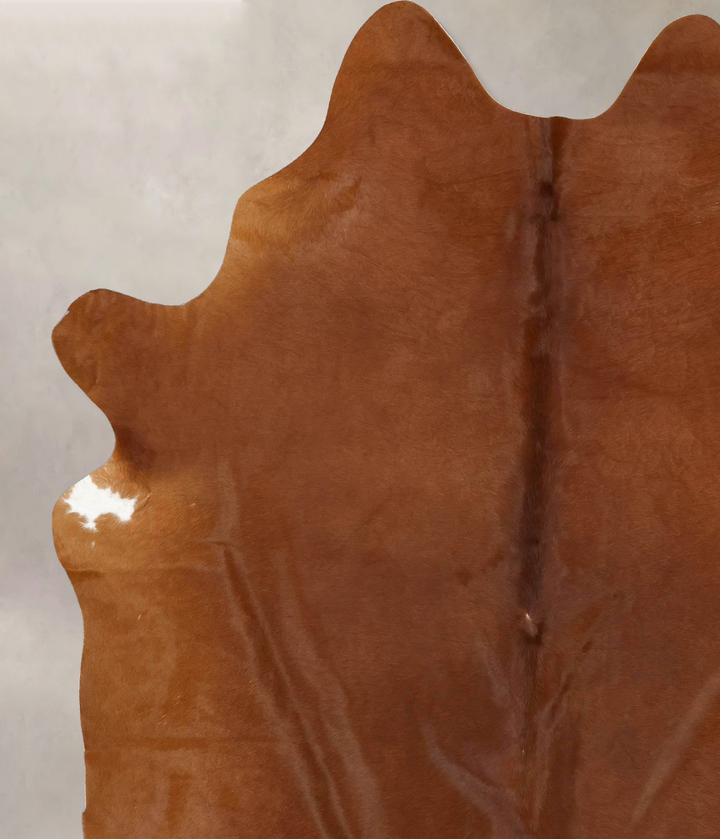 Solid Brown XX-Large Brazilian Cowhide Rug 8'10"H x 6'10"W #B13342 by Hudson Hides
