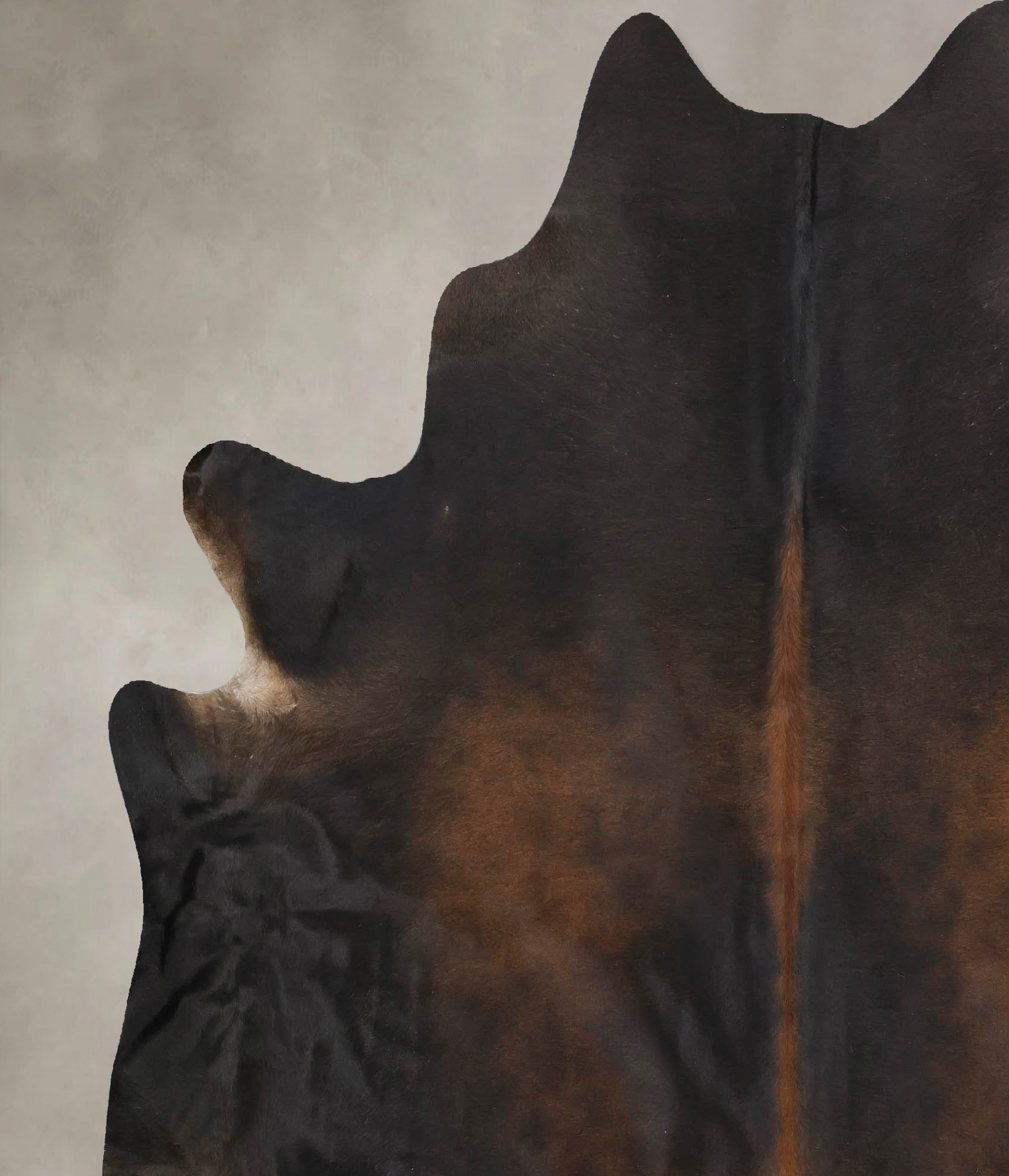 Chocolate Cowhide Rug #B13395